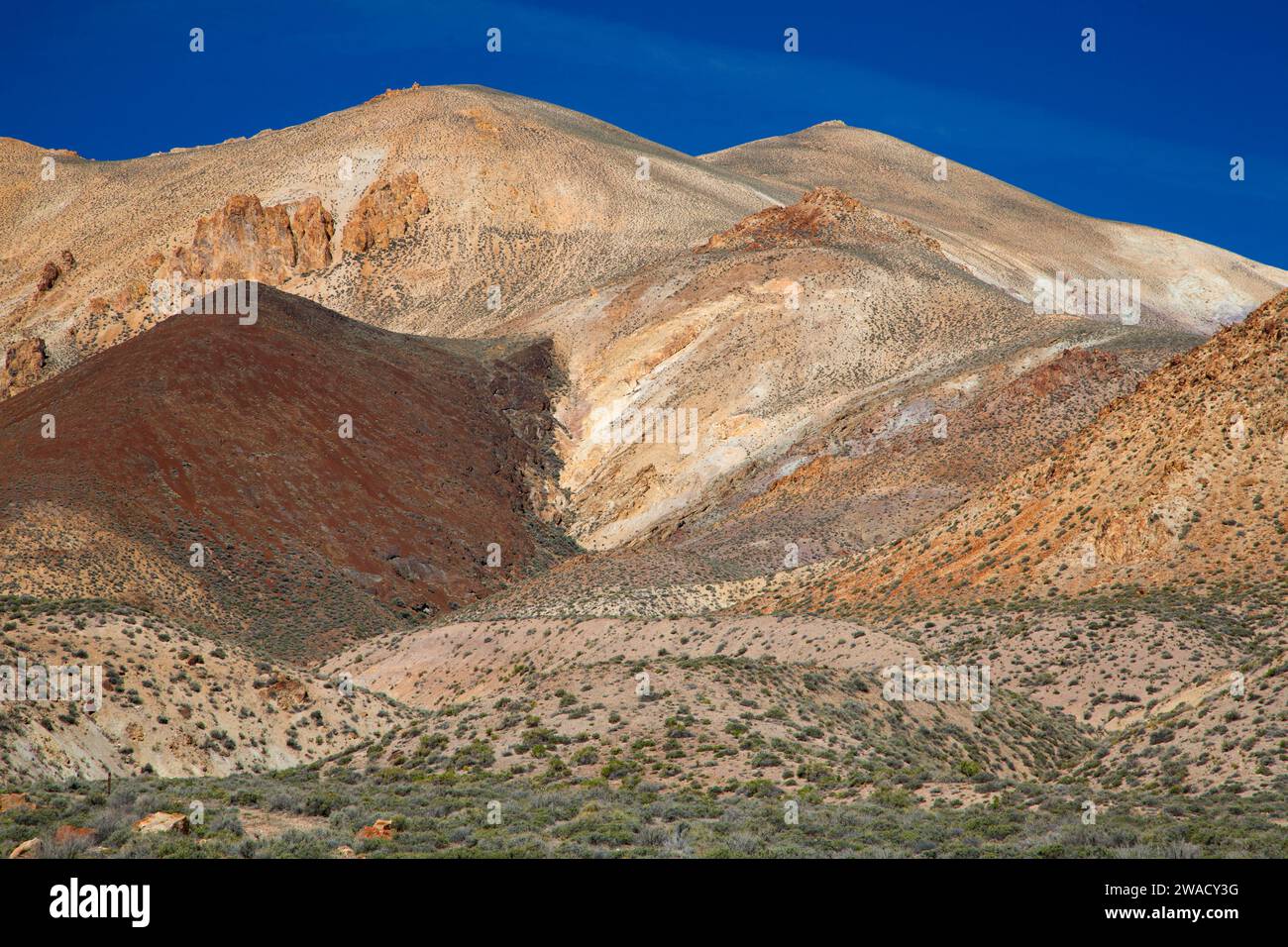 Calico Mountains, Calico Mountains Wilderness, Black Rock Desert High Rock Canyon Emigrant Trails National Conservation Area, Nevada Stockfoto