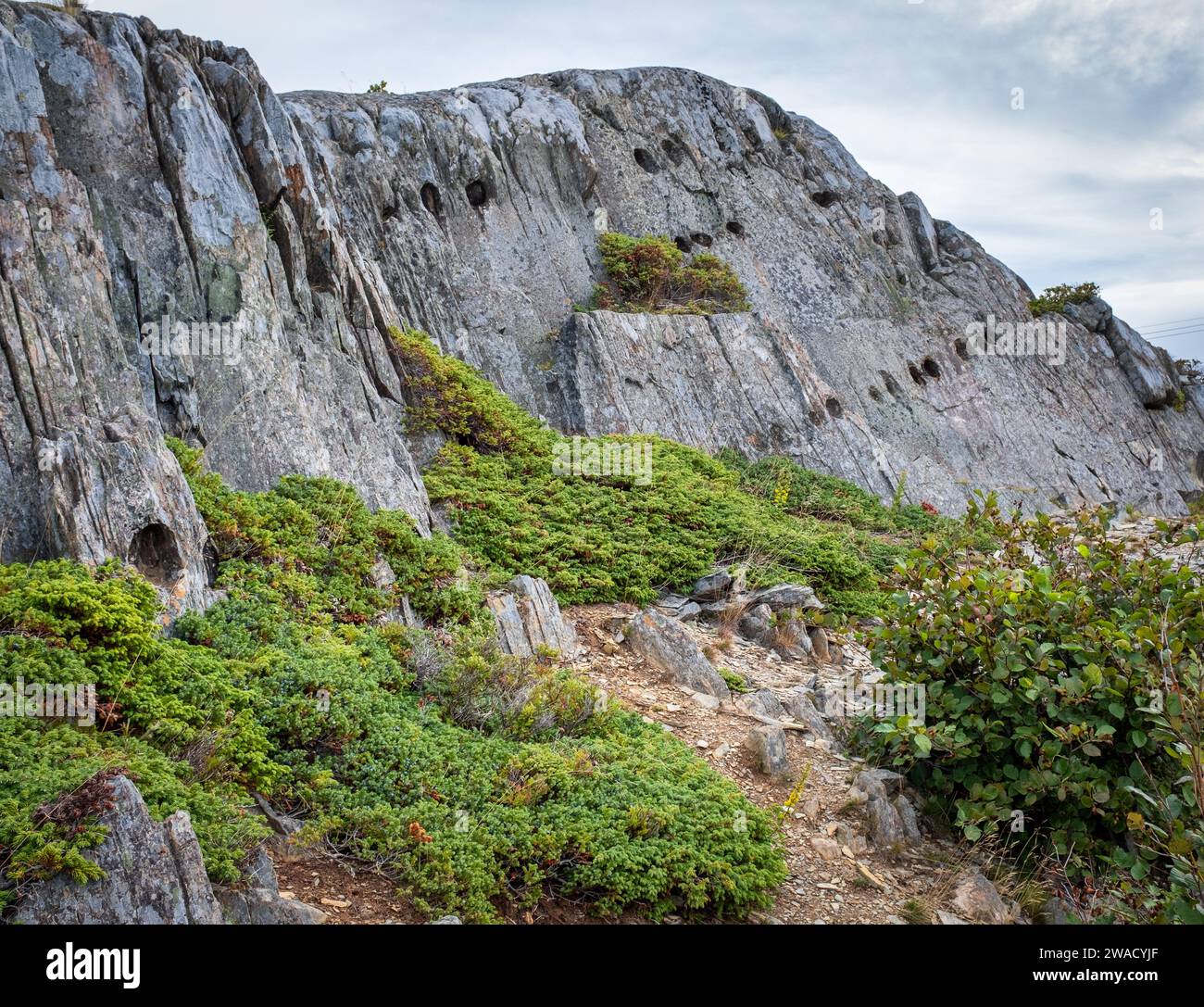 Die Teufelsfüßel auf Kiels, Neufundland, Kanada, auf der Bonavista Halbinsel sind eine geologische Formation und in einem UNESCO Geopark Stockfoto