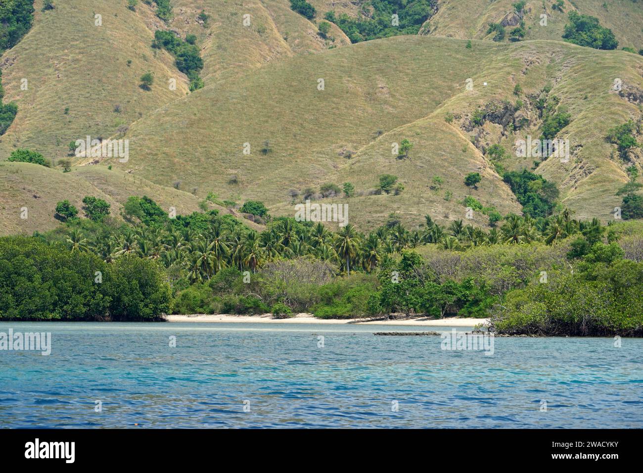 Kelor Island in Labuan Bajo, Komodo Nationalpark, Flores, Indonesien Stockfoto