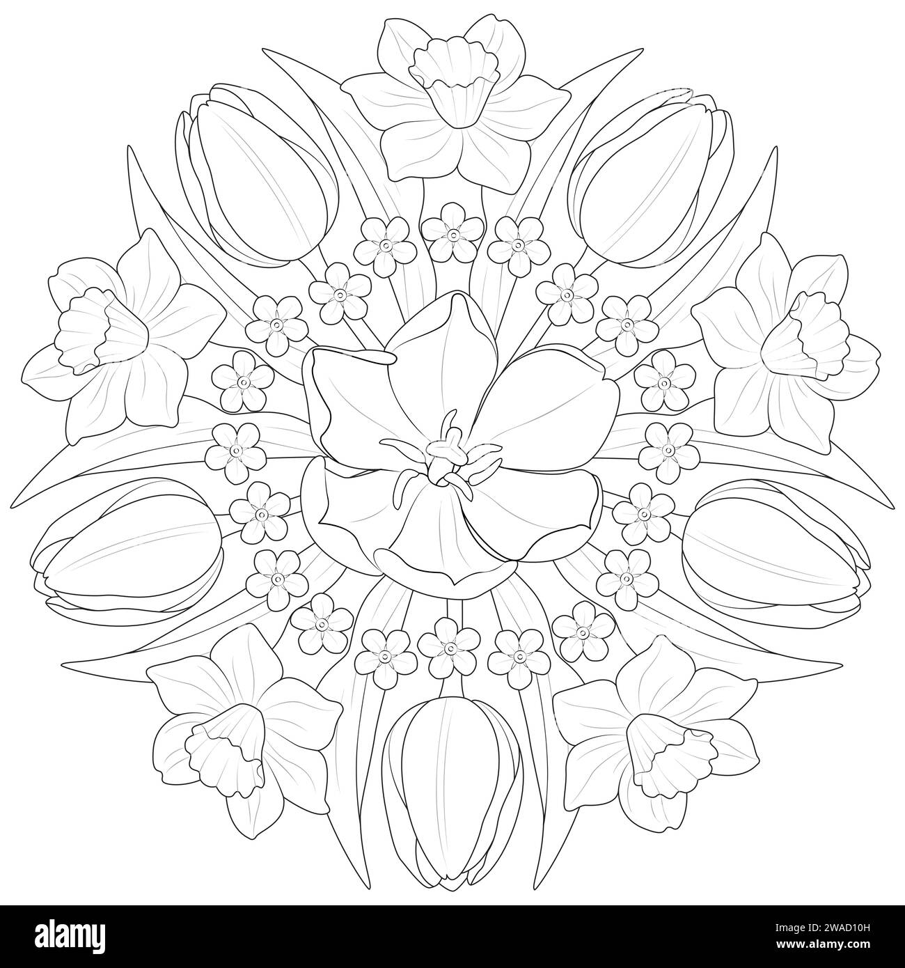 Mandala der Frühlingsblumen. Tulpen, Narzissen und Vergessene in Schwarz und weiß. Ausmalseite mit rundem Muster für Kinder und Erwachsene. Vektorabbildung Stock Vektor