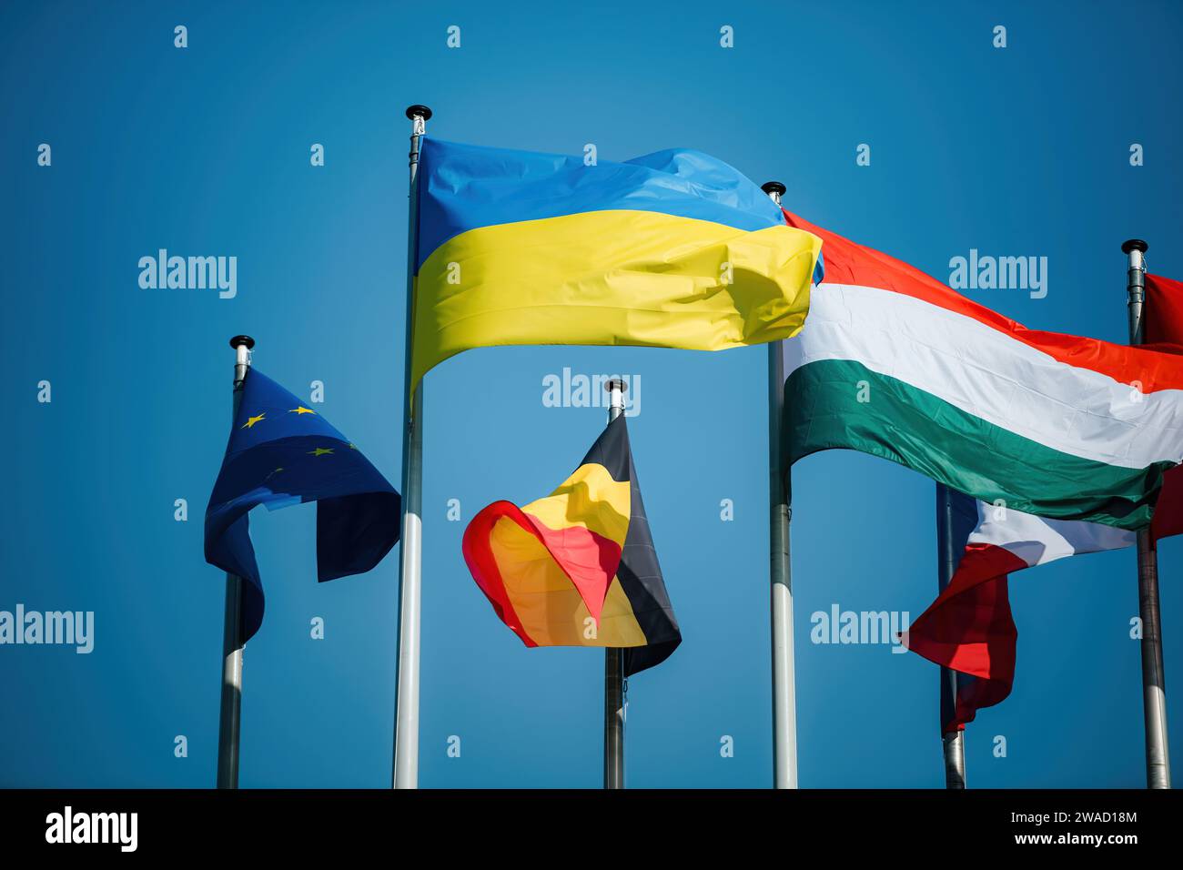 Die ukrainische Flagge winkt stolz neben der Flagge der Europäischen Union und anderen EU-Länderflaggen vor einem klaren, friedlichen blauen Himmel Stockfoto
