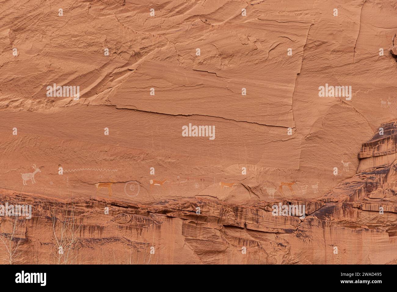 USA, Arizona, Felswände mit Petroglyphen im Canyon de Chelly National Monument Stockfoto