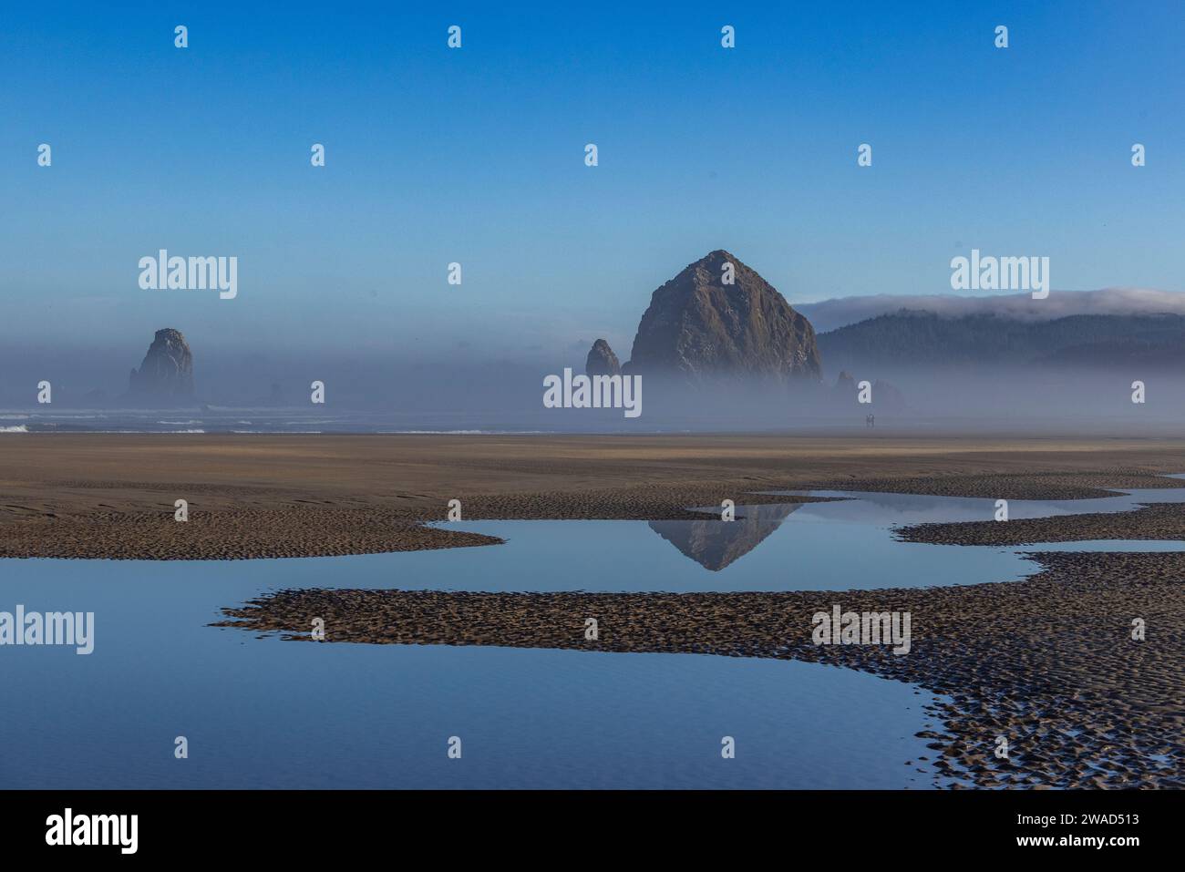 USA, Oregon, Haystack Rock am Cannon Beach im Morgennebel Stockfoto
