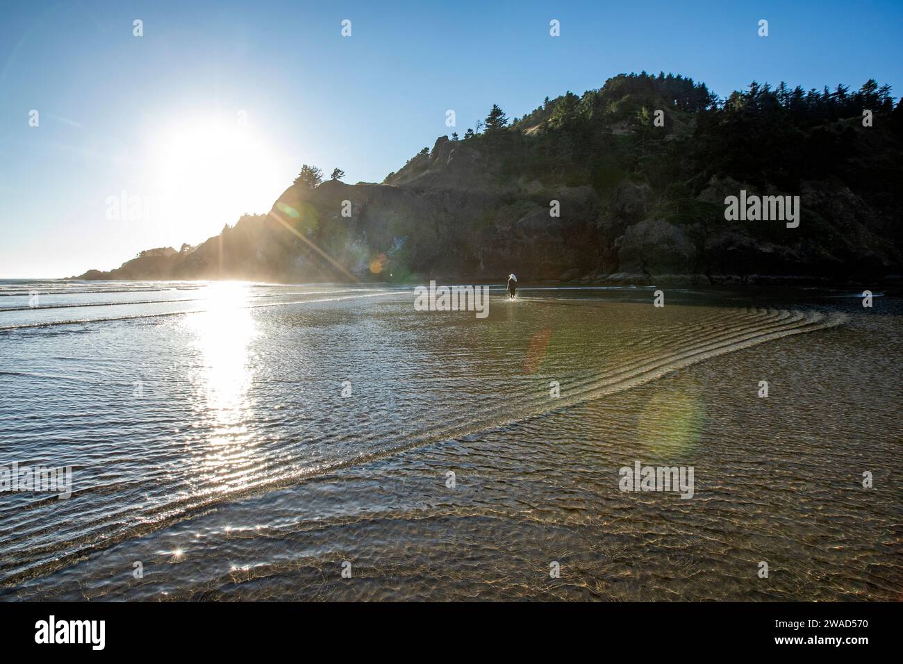 USA, Oregon, Newport, Seniorin, die im flachen Wasser am Strand spazieren geht Stockfoto