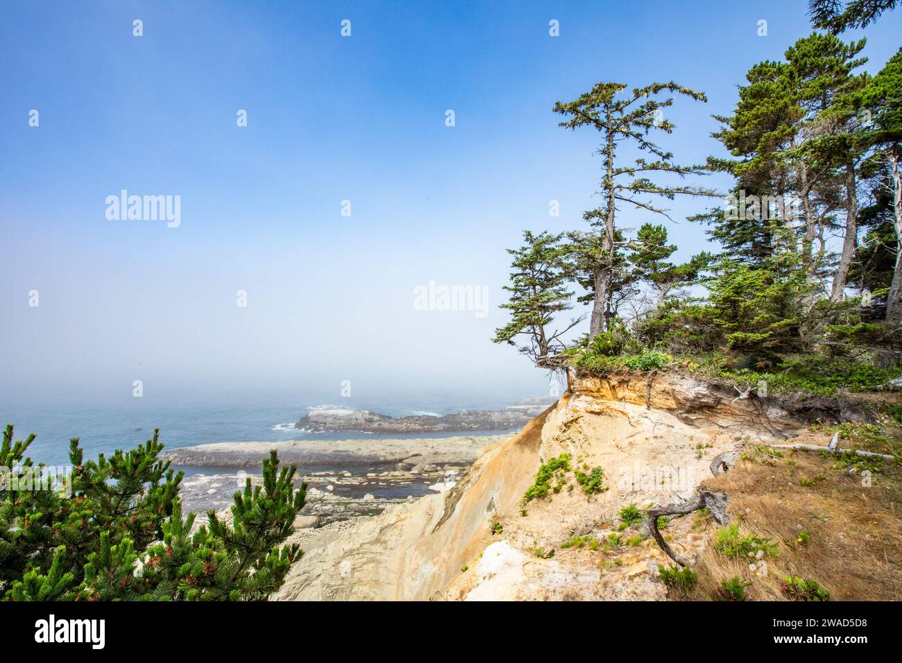 USA, Oregon, Coos Bay, Rocky Headlands und Wälder entlang der Küste Stockfoto