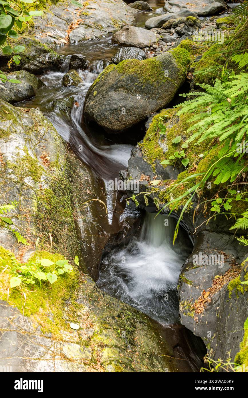 Bach fließt zwischen moosbedeckten Felsen Stockfoto