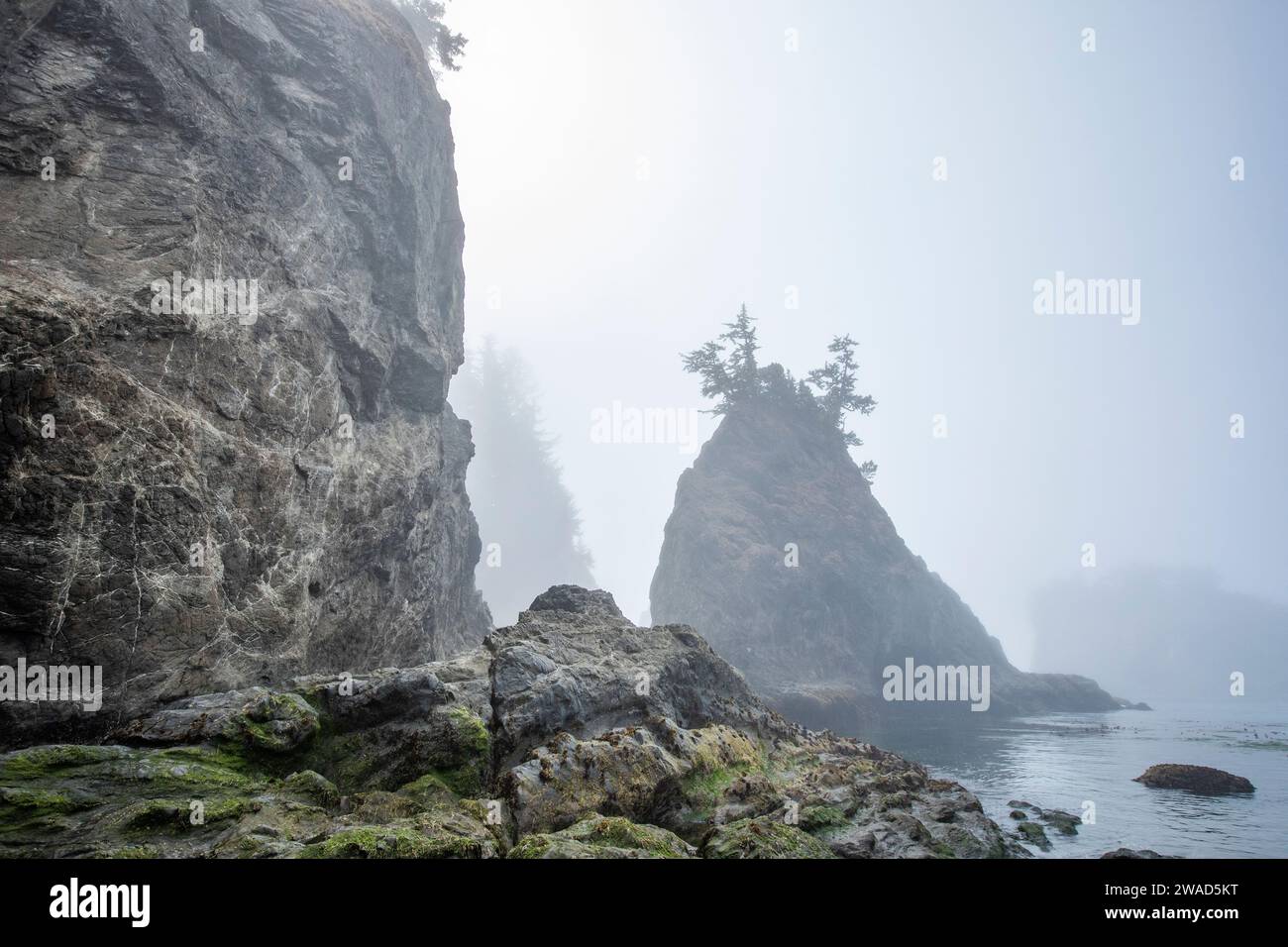 USA, Oregon, Brookings, felsige Küste an nebelhaltigen Tagen Stockfoto