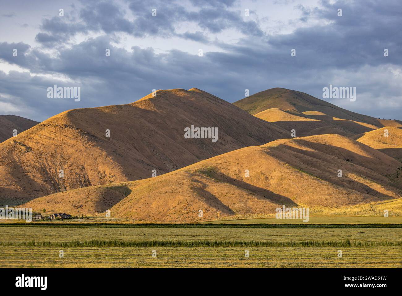 USA, Idaho, Bellevue, Hügel beleuchtet mit nachmittags Sonnenlicht Stockfoto