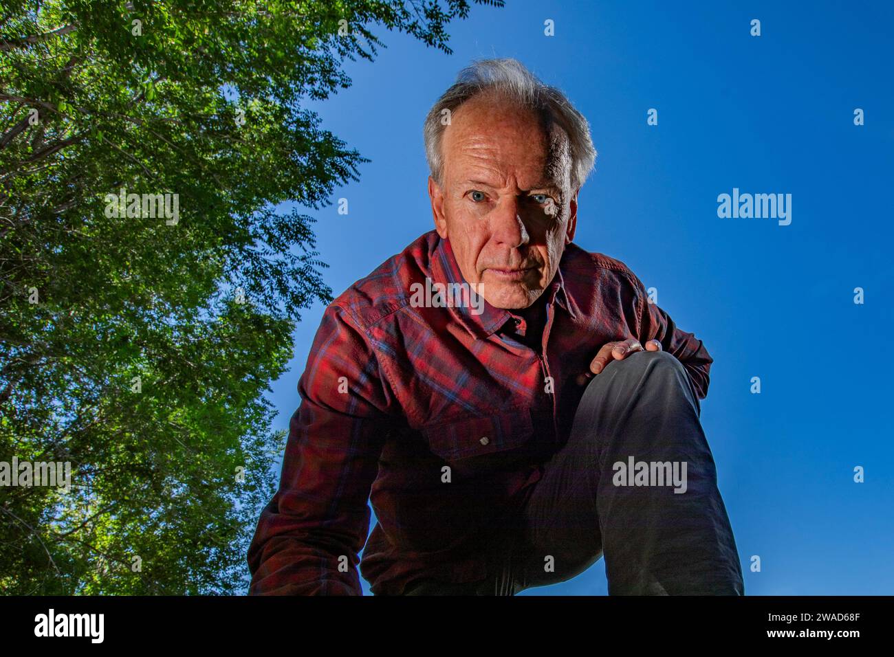 Porträt von senior woman Blick in die Kamera Stockfoto