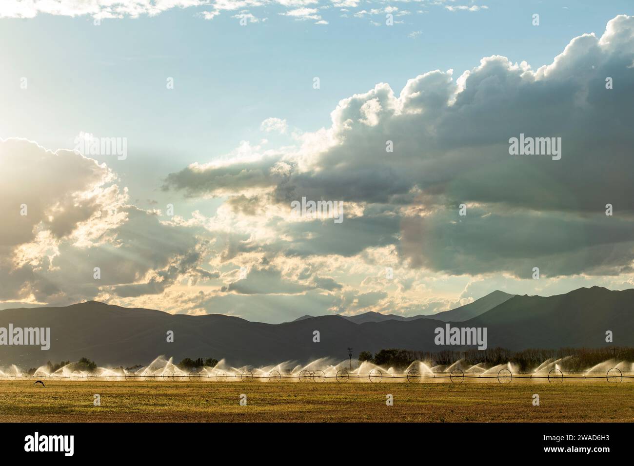 USA, Idaho, Bellevue, Bewässerungssystem auf dem Feld bei Sonnenuntergang Stockfoto
