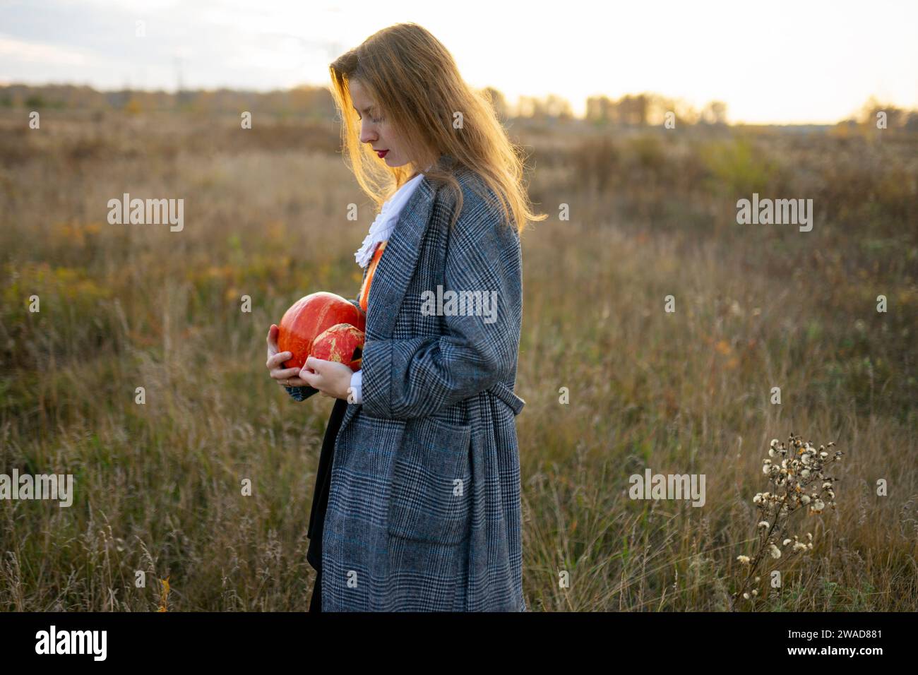 Seitenansicht einer Frau, die Kürbisse auf dem Feld hält Stockfoto