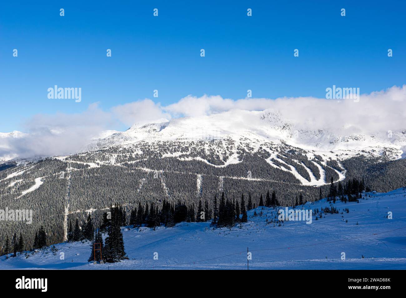 Ein dramatischer Blick auf die südwestliche Seite des Blackcomb Mountain mit mehreren sichtbaren Skipisten, einschließlich einer Skipiste am Whistler Mountain im Nebel Stockfoto