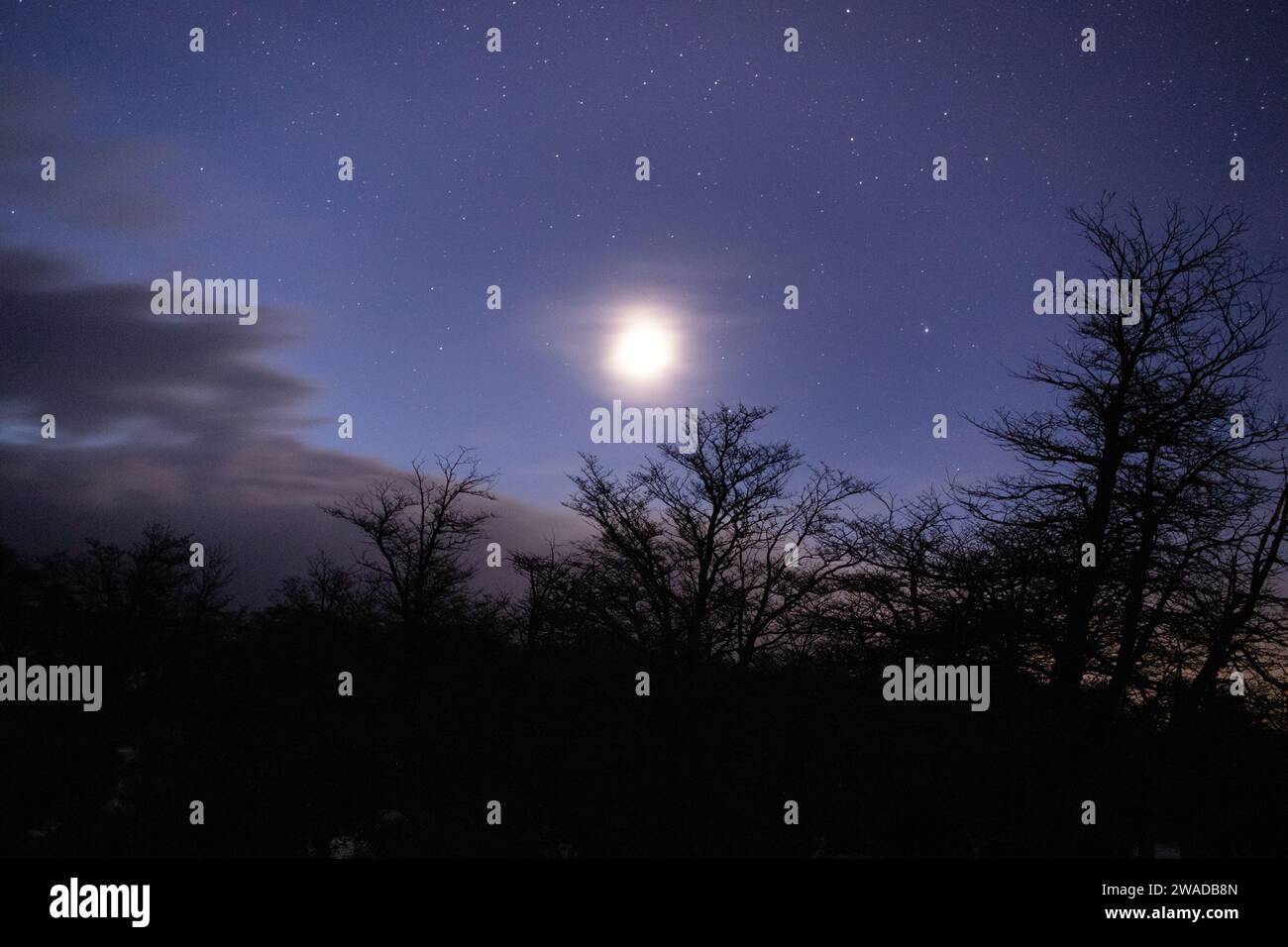 Vollmond lange Exposition in der Nacht in einem Wald Stockfoto