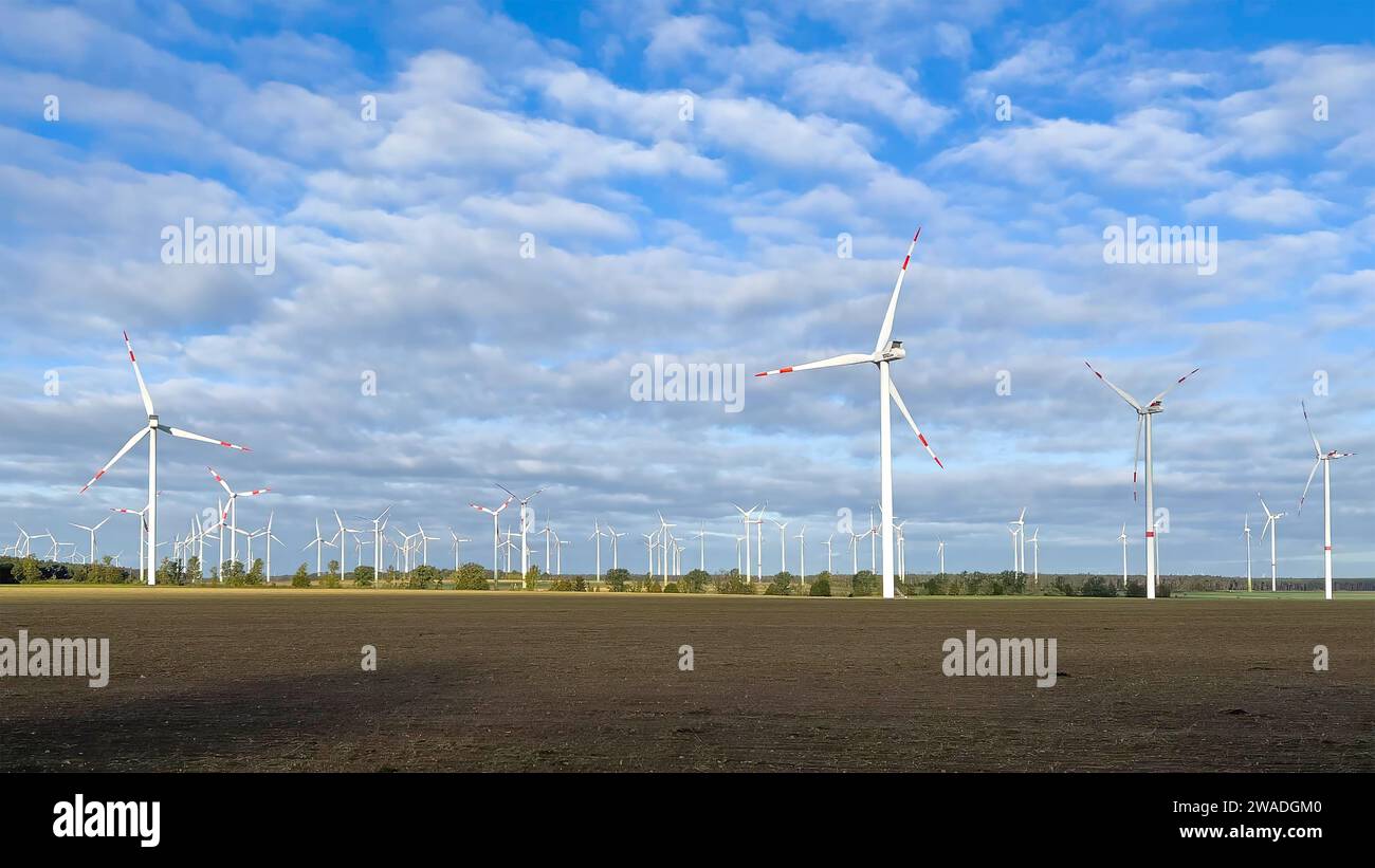 Windpark, Energiewende, alternative Elektrizität, Ausbau der Windenergie, Windkraftanlagen, WTG, Windpark, Stromerzeugung, Brandenburg, Deutschland Stockfoto