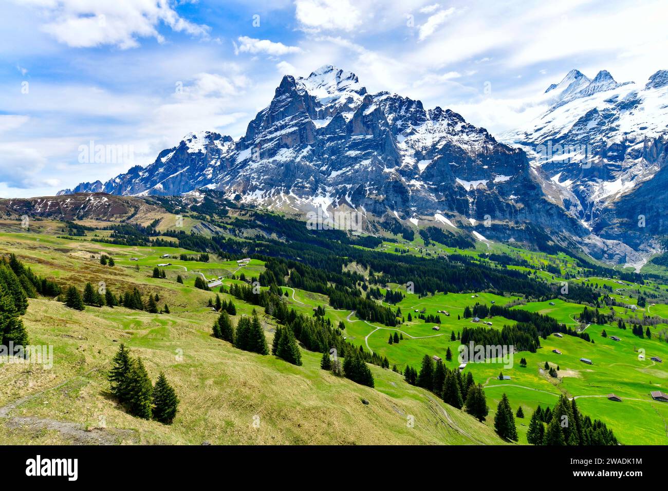 ฺBeautiful Landschaft Alpenblick in den Sommerbergen rund um Grindelwald, Schweiz Stockfoto