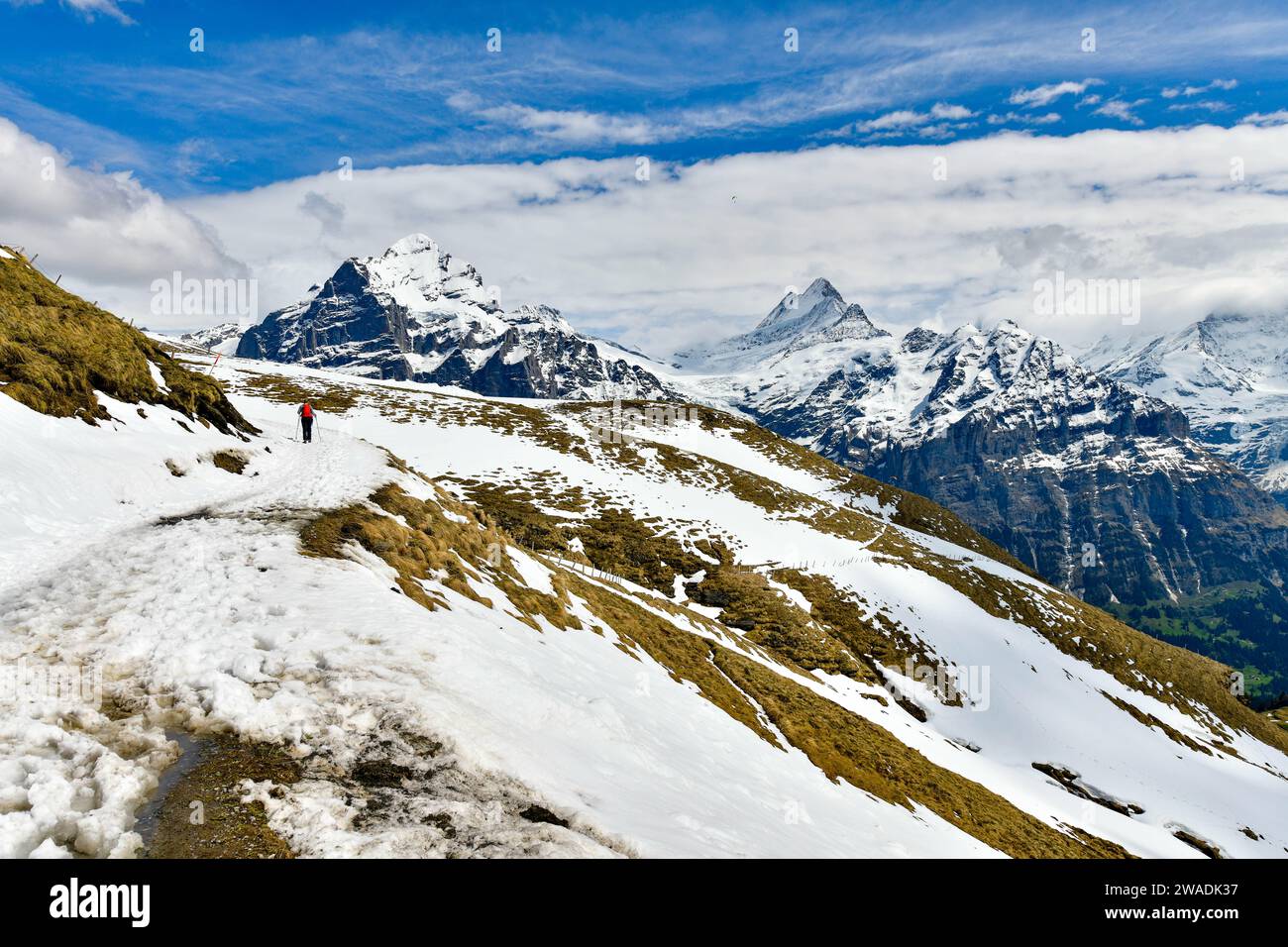 ฺBeautiful Landschaft Alpenblick in den Sommerbergen rund um Grindelwald, Schweiz Stockfoto
