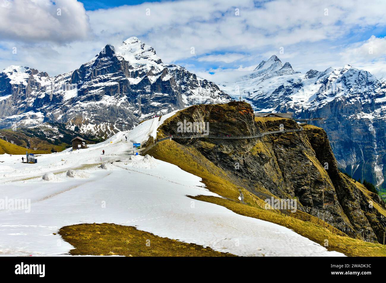 ฺBeautiful Landschaft Alpenblick in den Sommerbergen rund um Grindelwald, Schweiz Stockfoto
