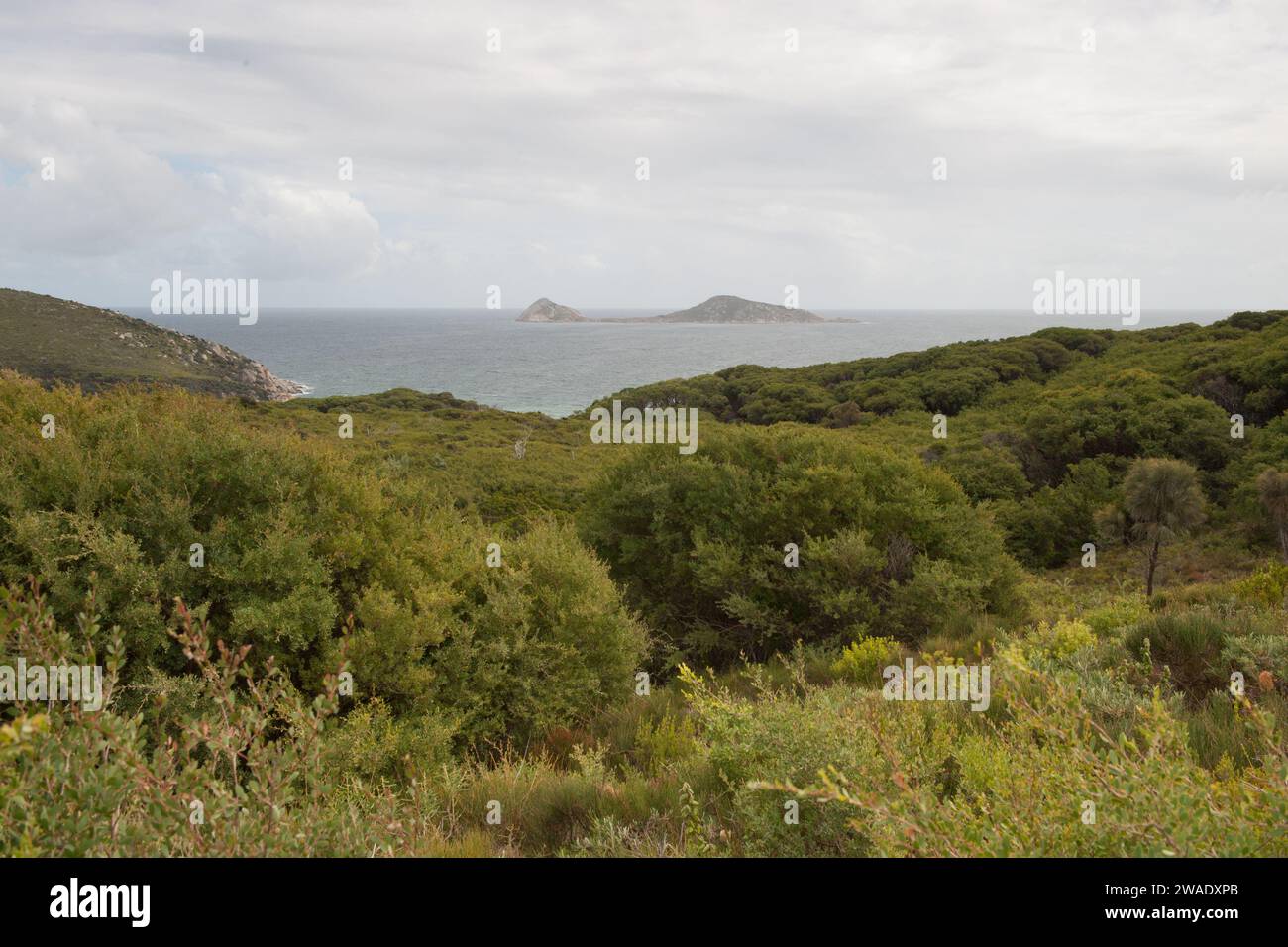 Picnic Bay ist ein toller Ort, um den Strand und die Felsenpools zu erkunden Stockfoto