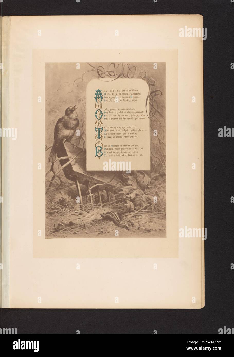Reproduktion eines Abdrucks eines Vogels auf einer Reche und einer Schnecke, mit dem Gedicht Octobre von Francois Coppée, von Hector Giacomelli, Paul Dalloz, nach Hector Giacomelli, um 1871 - in oder vor 1876 photomechanischen Druckpapier kollotype Vögel. Weichtiere: Schnecke. Landwirtschaftliche Geräte: Rechen. Oktober  andere Konzepte Stockfoto