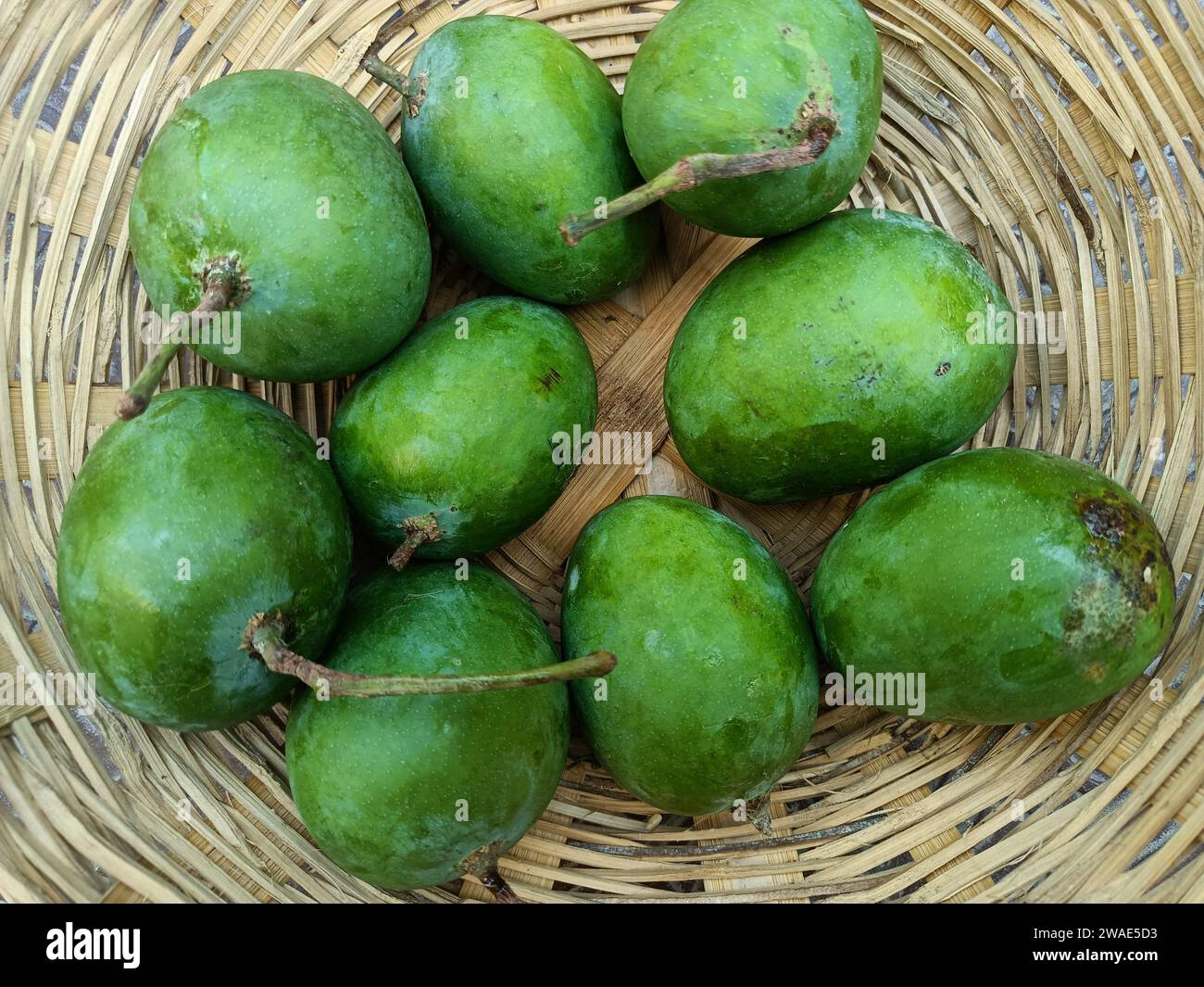 Grüne Mango, im Korb in Indien Sommerfrucht, indische grüne Mango Stockfoto
