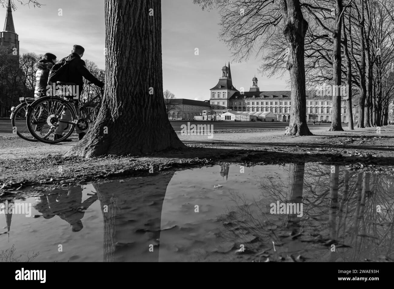 Bonn, Deutschland - 17. Dezember 2023 : Panoramablick auf den öffentlichen Park Hofgarten und die berühmte Rheinische Friedrich-Wilhelm-Universität Bonn Stockfoto
