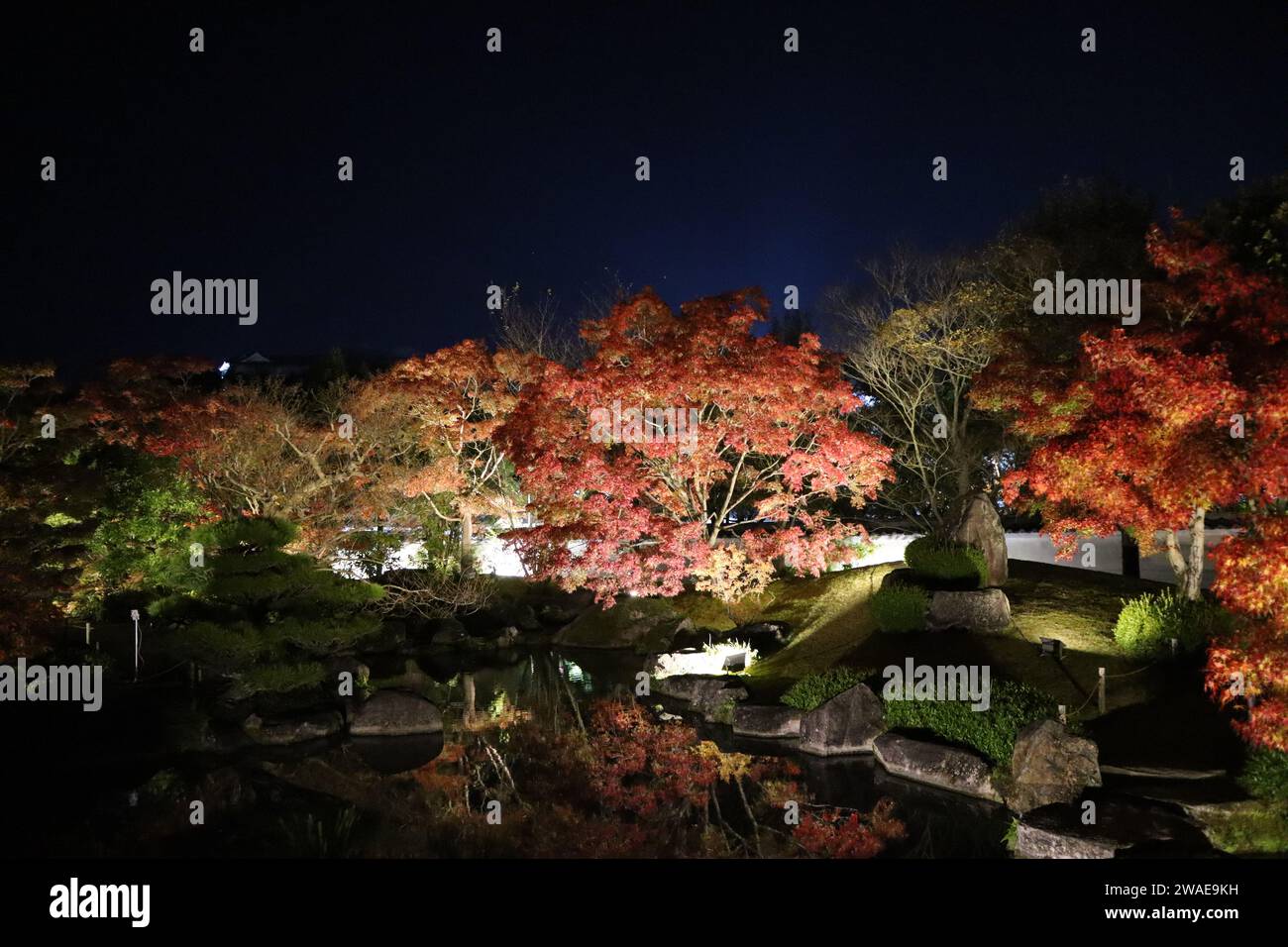 Herbstlaub und Beleuchtung im Garten mit Hügel und Teich in Koko-en Garden, Himeji, Japan Stockfoto