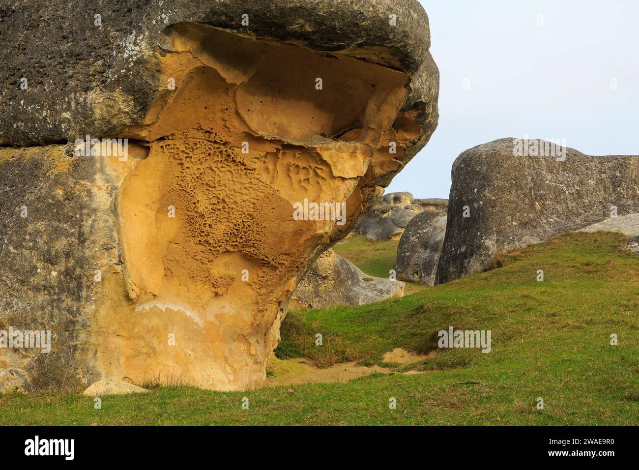 Riesige Kalksteinblöcke bei Elephant Rocks, einer 25 Millionen Jahre alten Felsformation in der Region North Otago in Neuseeland Stockfoto