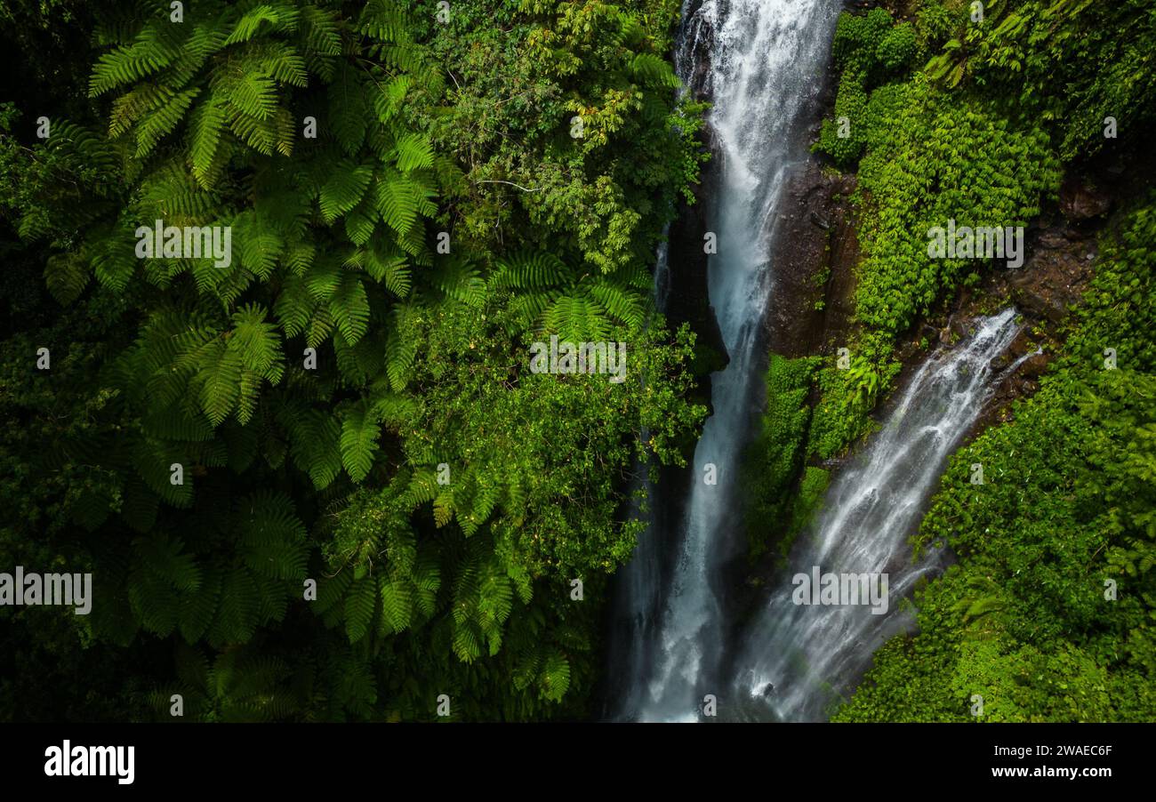 Ein majestätischer Wasserfall, der aus großer Höhe herabstürzt, umgeben von üppig grünem Laub Stockfoto