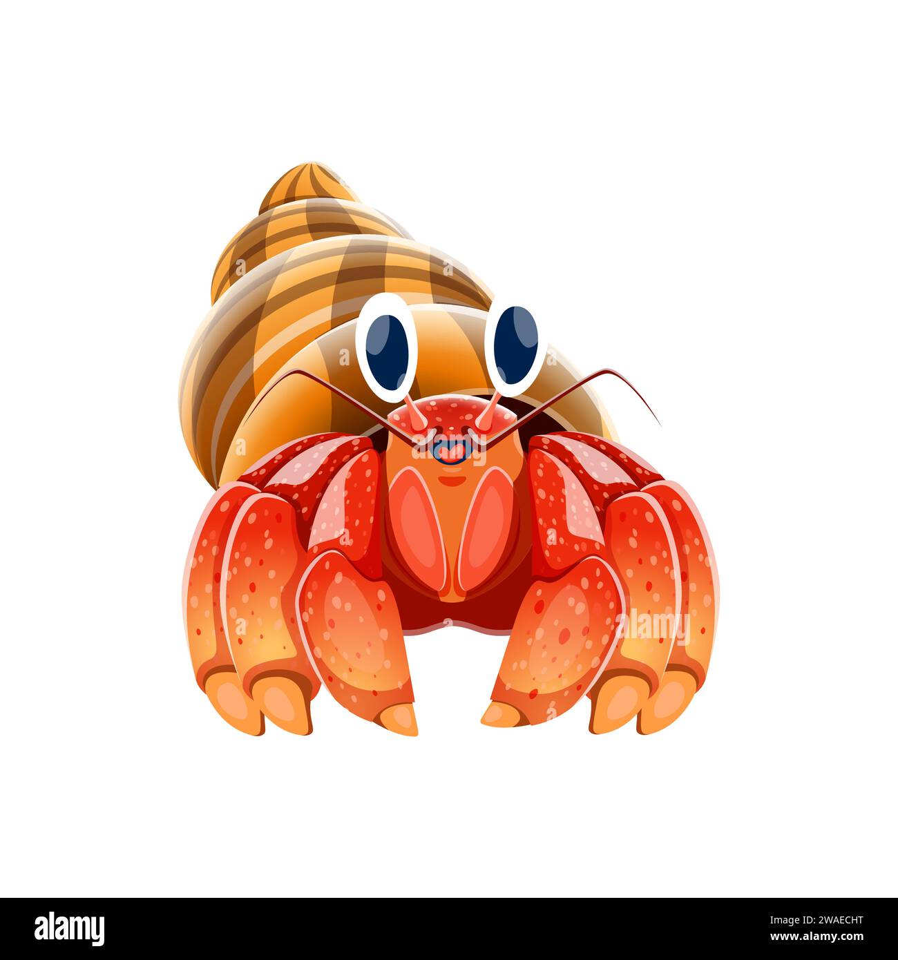 Zeichentrickfilm-Einsiedler-Krabbenfigur. Meeres- oder Meeresboden, Tier- und Tierwelt, Unterwasserwelt lustige Persönlichkeit. Tropisches Meereskrebstier isolierter Vektorcharakter, Einsiedlerkrabbe mit Muschelmaskottchen Stock Vektor