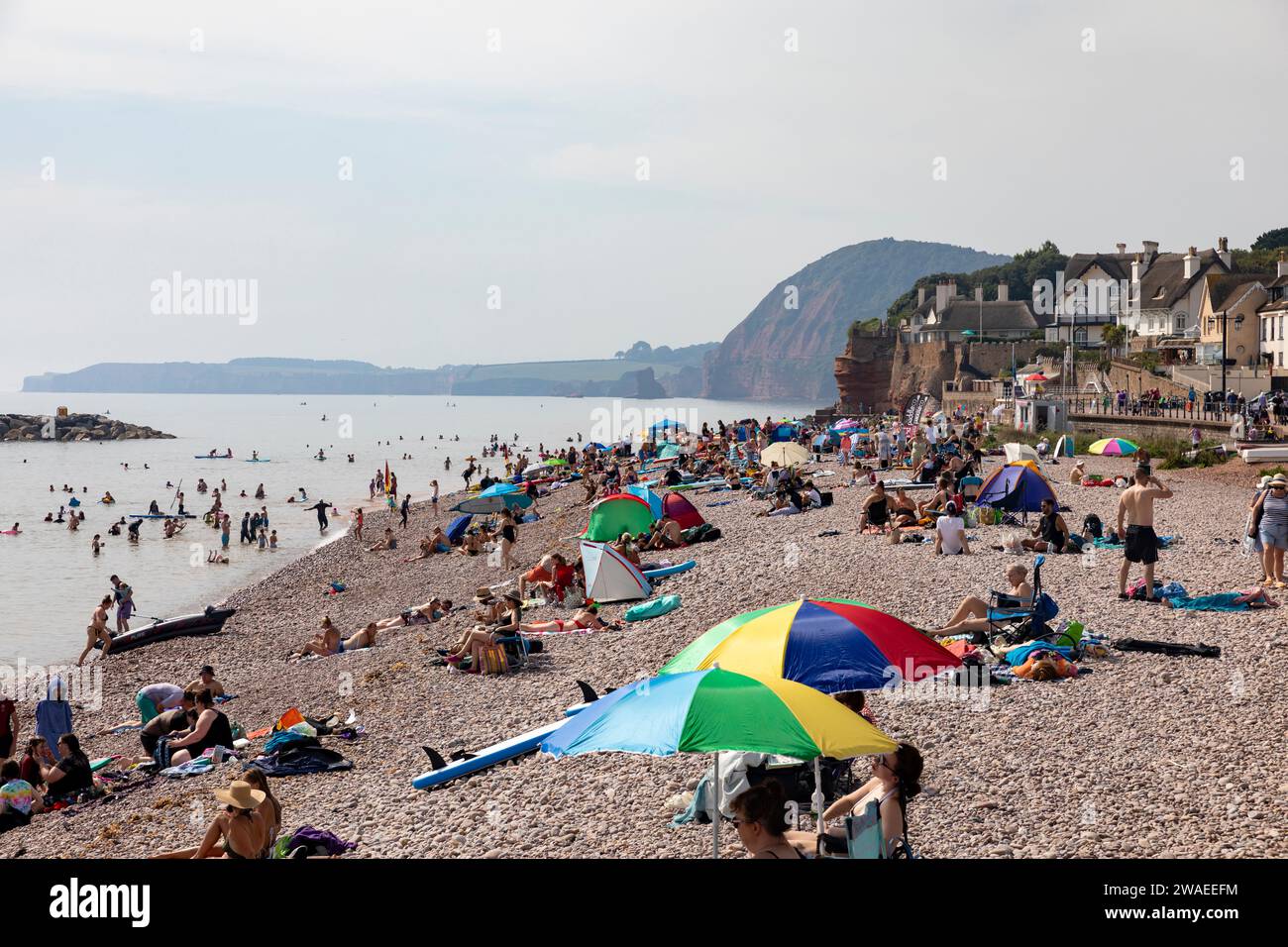 Sidmouth Devon, die Menschen entspannen sich am Strand während des heißen September 2023 Tag, jurassic Coast sichtbar in der Ferne, England, Großbritannien Stockfoto