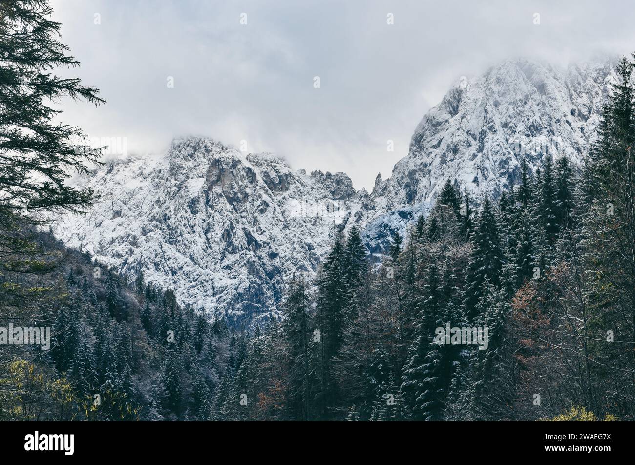 Wunderschöne Winterlandschaft mit schneebedeckten Bäumen am Hang von felsigen Bergen an einem kalten Wintertag Stockfoto