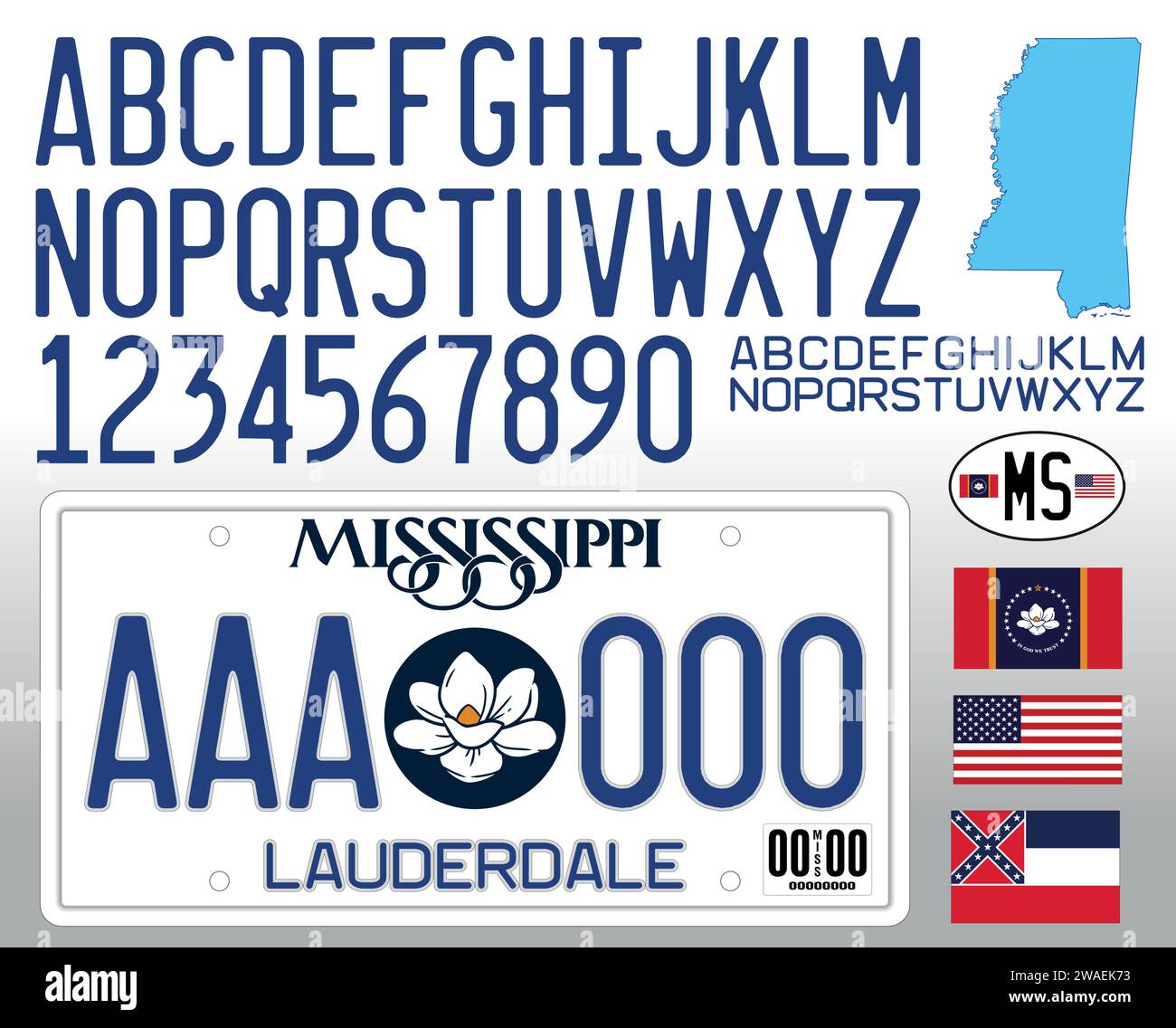 Mississippi US State Car Nummernschild neues Muster 2024 mit Buchstaben, Zahlen und Symbolen, Vektorillustration, USA Stock Vektor