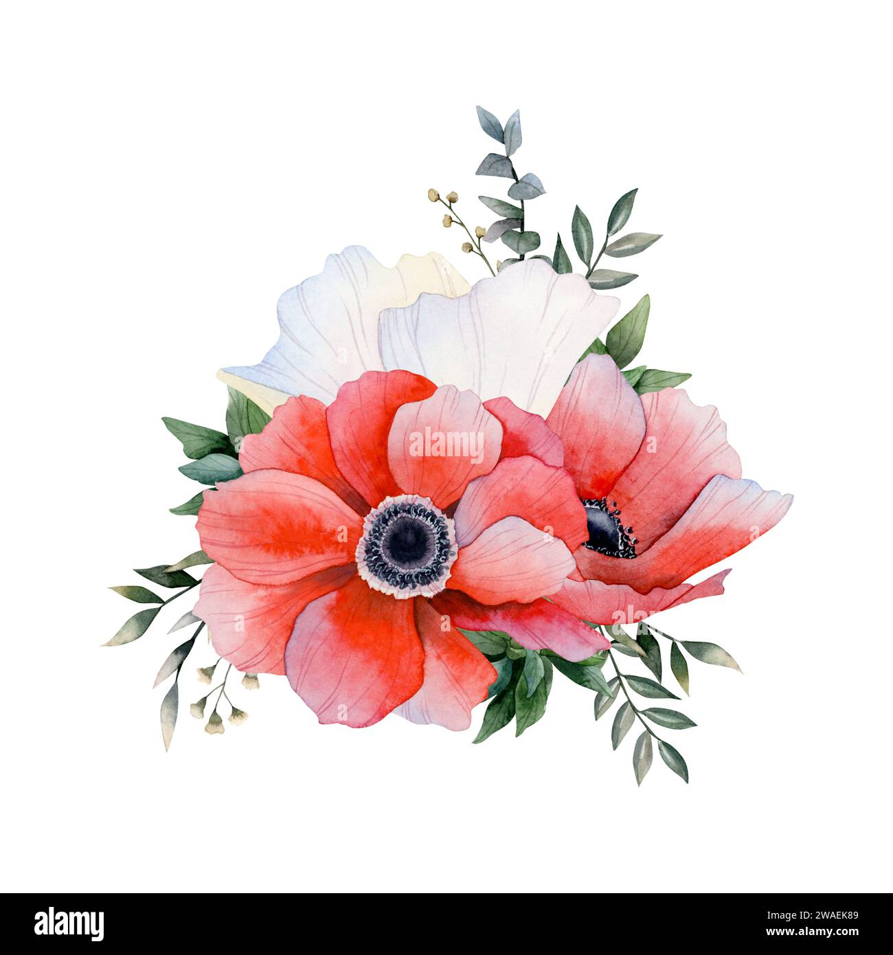 Rote und weiße Anemonen Blumen Blumenstrauß mit Eukalyptus und Gras Aquarell Blumen Illustration. Feldmohn Stockfoto