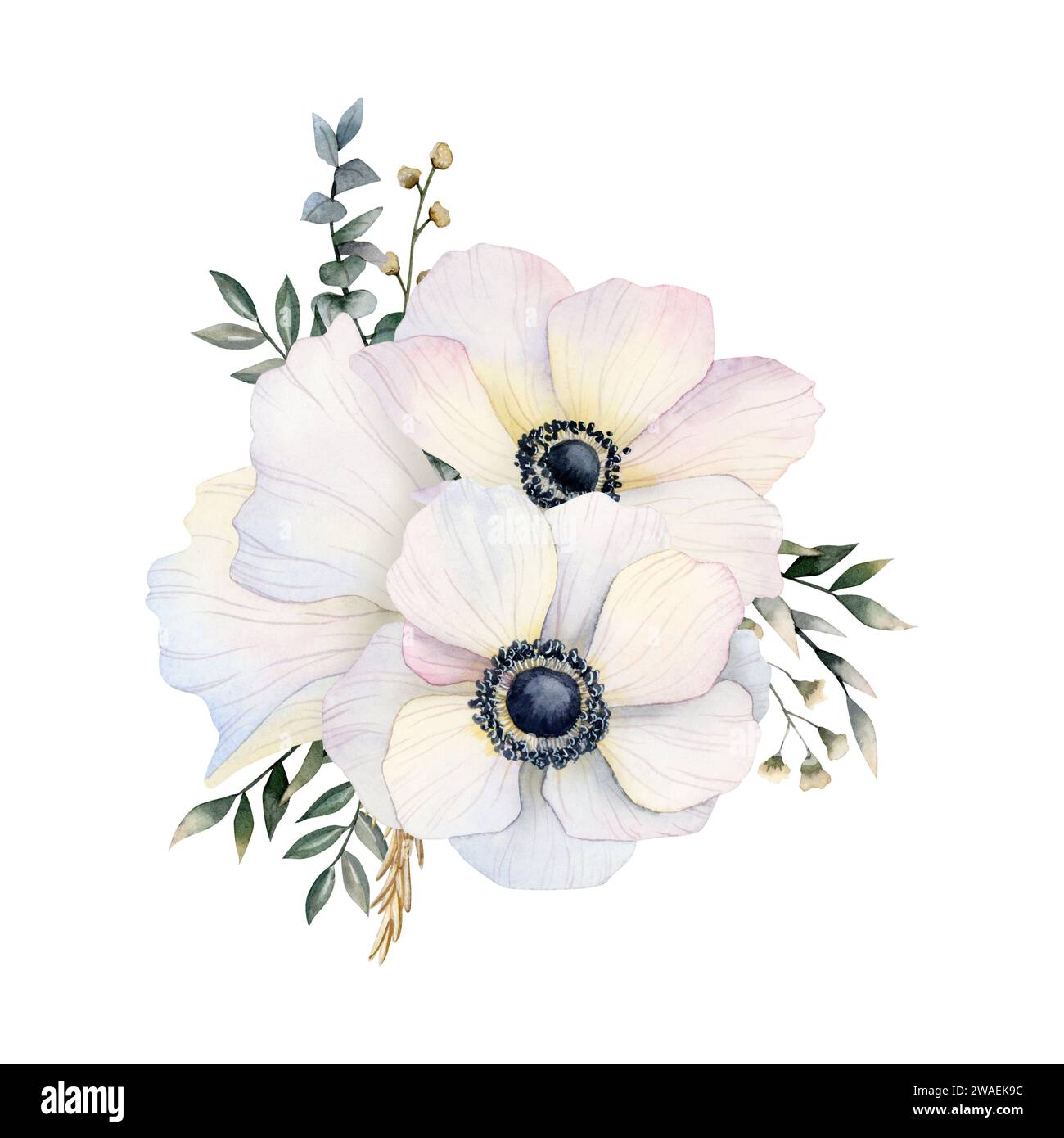 Weiße Anemonen Blumen Blumenstrauß mit Feldmohn, Eukalyptus und Gras Aquarellillustration für Frühlingsdesigns Stockfoto