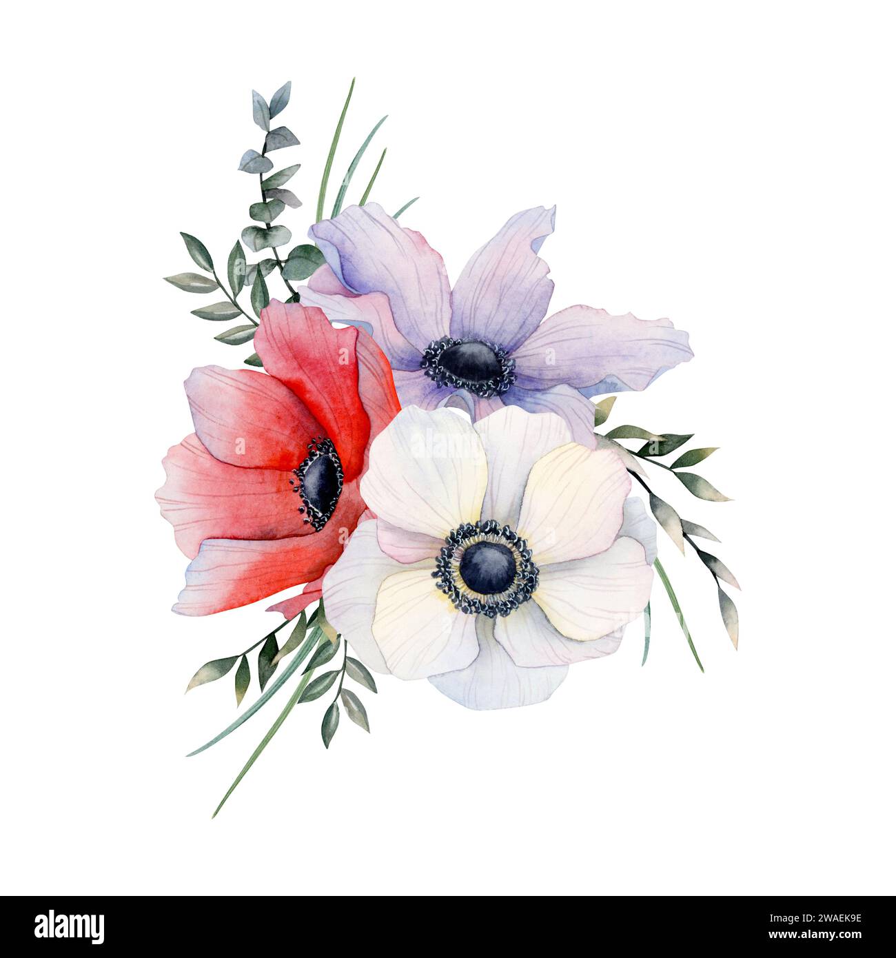 Feldblumen Blumenstrauß von lila, weißen und roten Anemonen mit Eukalyptus und Gras Aquarellillustration. Feldmohn Stockfoto