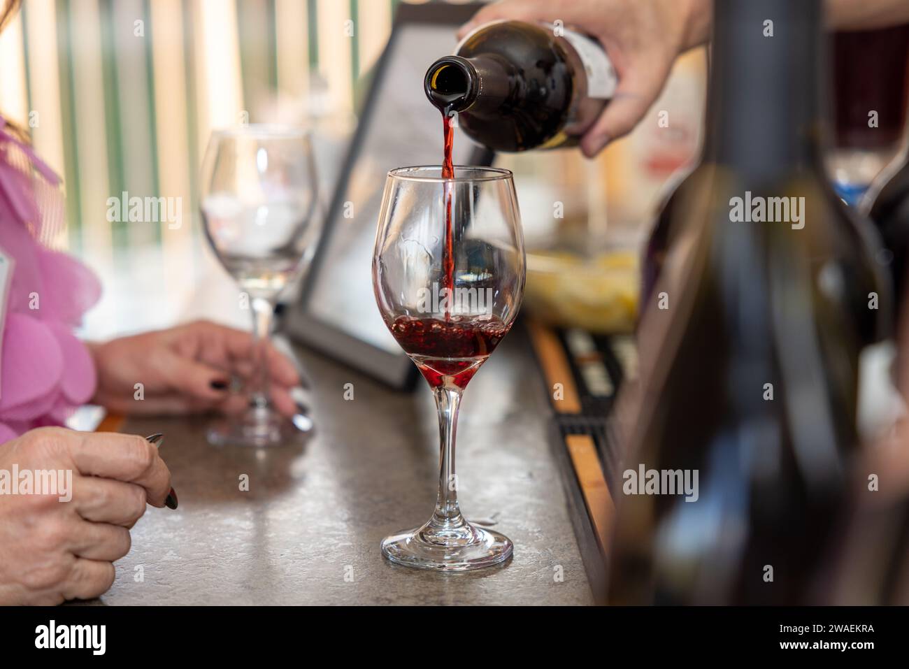 Eine Gruppe von Personen, die eine Weinverkostung mit Gläsern Wein genießen Stockfoto