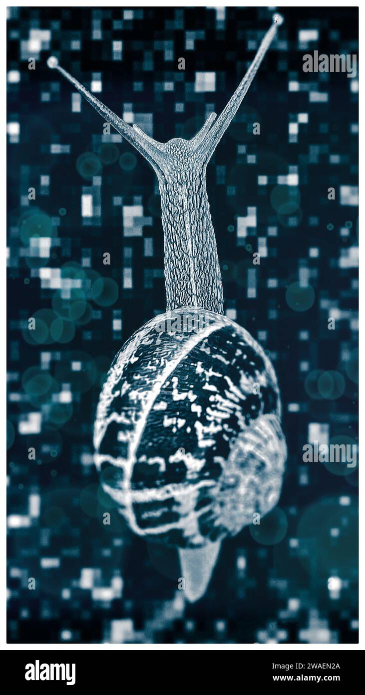 Eine gewöhnliche Schnecke navigiert in einer digitalen Landschaft Stockfoto
