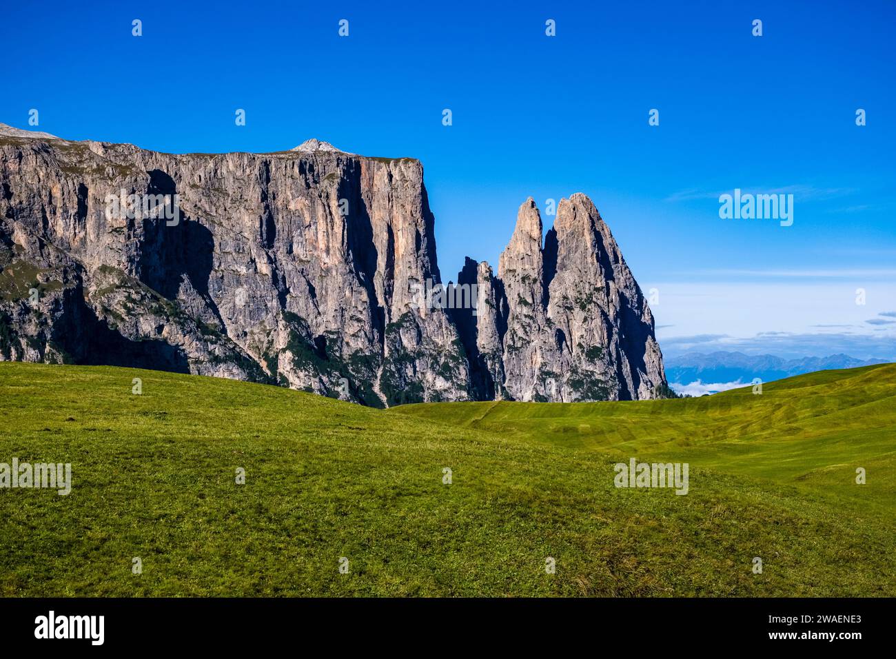 Hügeliges Ackerland mit dem Berg Schlern, Schlern auf der Seiser Alm, Seiser Alm. Stockfoto