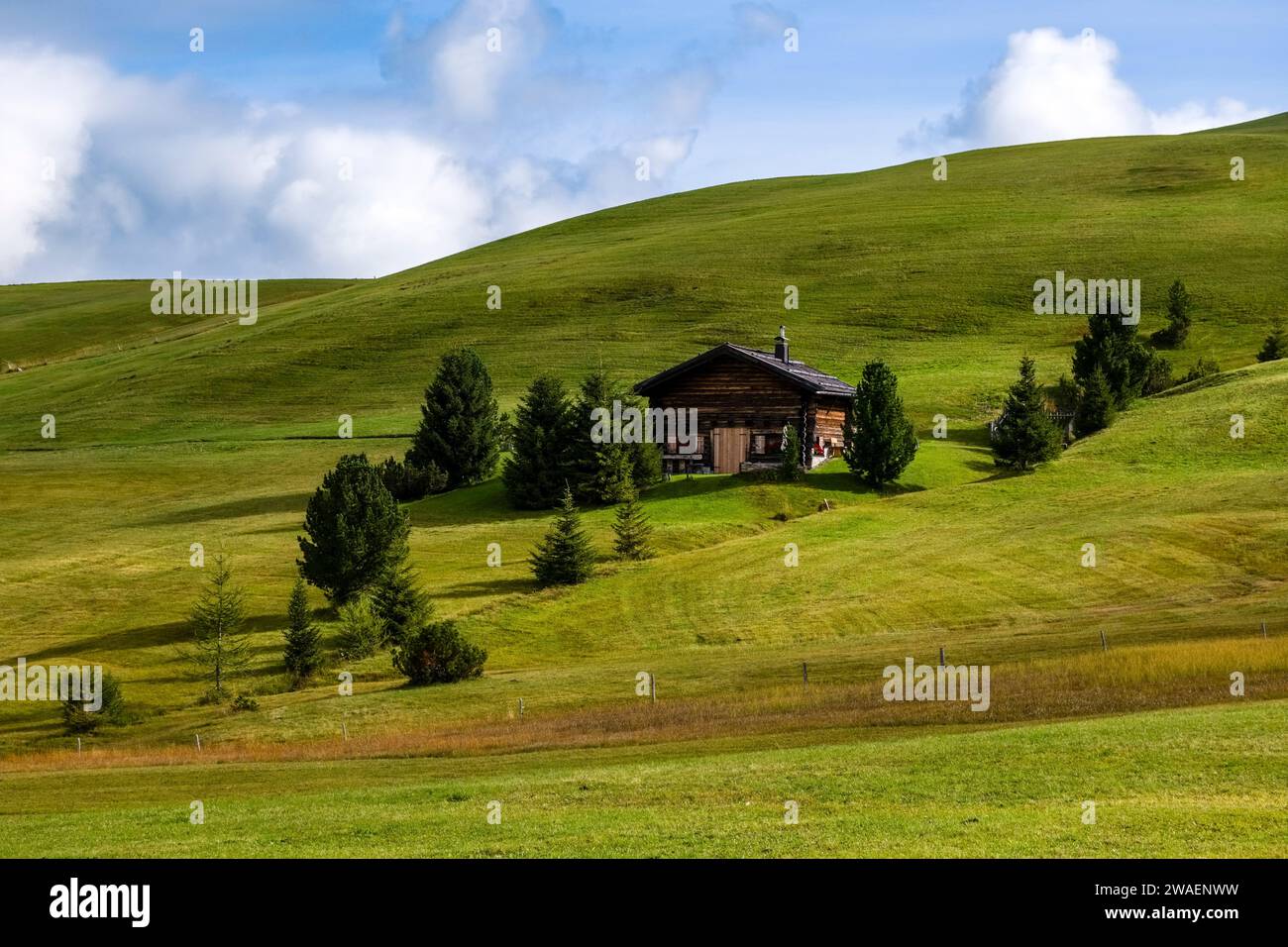 Hügeliges Ackerland mit Holzhütte und Bäumen auf der Seiser Alm, Seiser Alm. Stockfoto