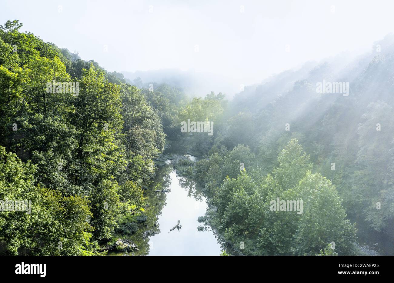 Eine malerische Aussicht auf ein nebeliges Tal mit einem Bach Stockfoto