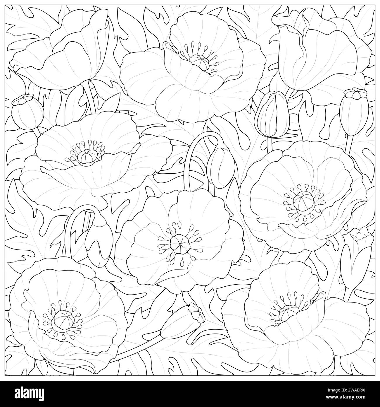 Luxuriöser schwarzer und weißer Mohn Blume Linie Kunst Hintergrund Vektor. Natürliche botanische elegante Blumenlinie Kunst. Design für Dekoration, Wanddekor, Tapete, Cover, Banner, Poster, Karte. Stock Vektor