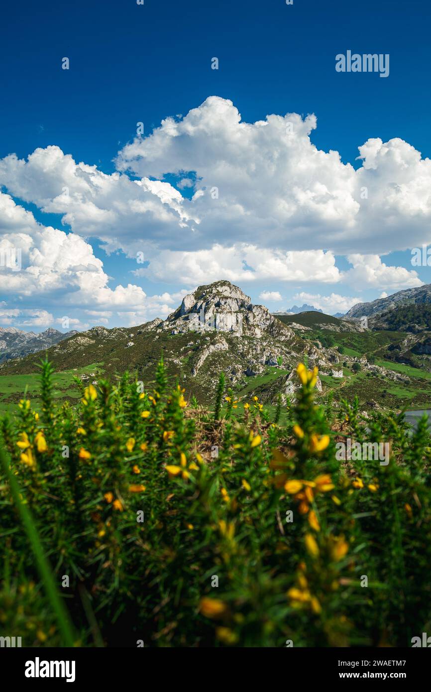 Die atemberaubende Landschaft von Asturien, Spanien mit grünen Bergen vor einem blauen Himmel mit weißen Wolken Stockfoto
