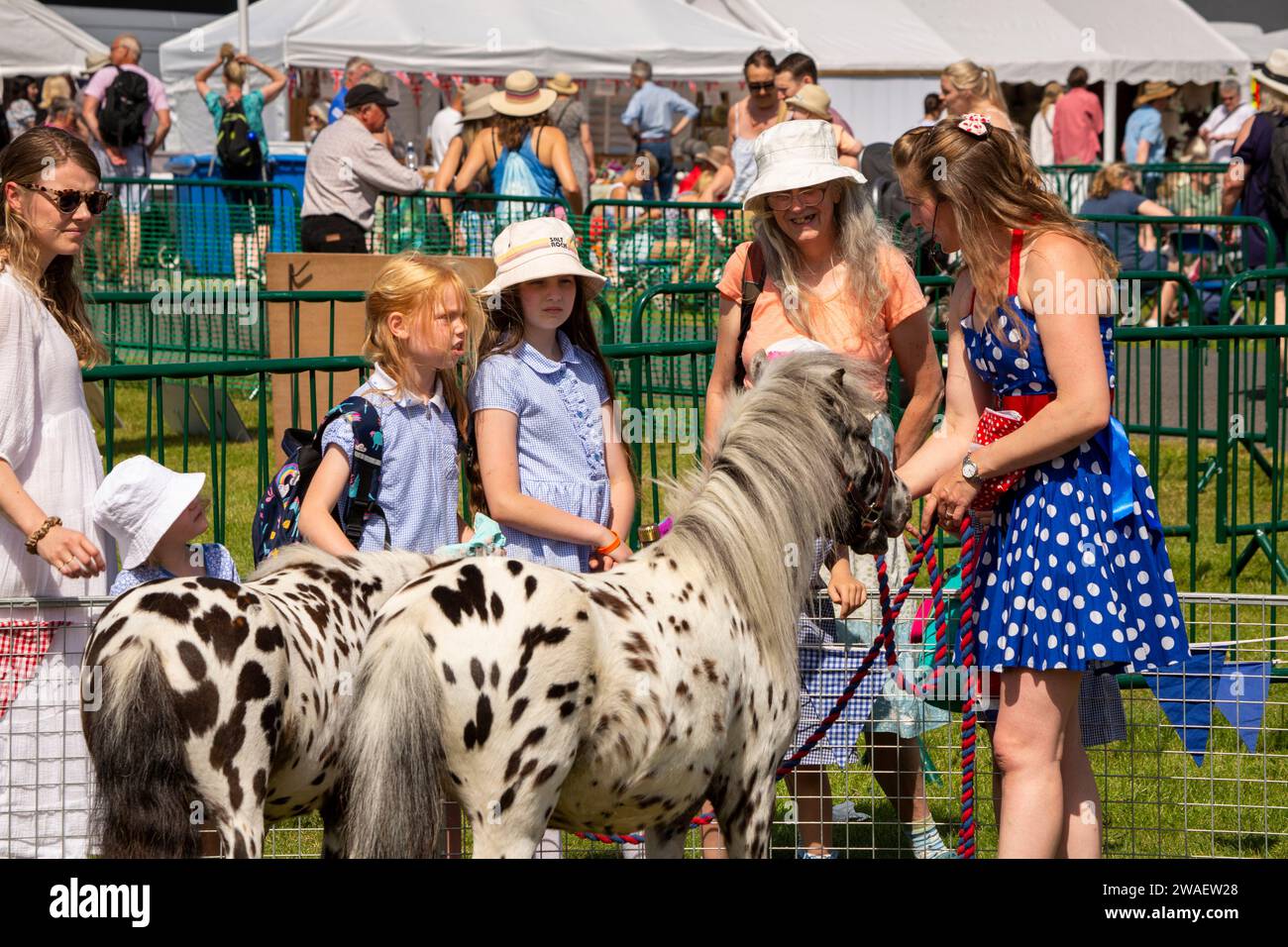 Großbritannien, England, Worcestershire, Malvern Wells, Royal 3 Counties Show, Kinder bei der Mini Pony Show mit Rolo und Sprout und Trainer Rosie Howard Stockfoto