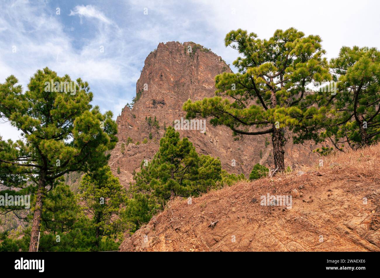 Blick vom Mirador de la Cumbrecita im Nationalpark La Caldera de Taburiente auf La Palma, Kanarische Inseln, Spanien. Stockfoto