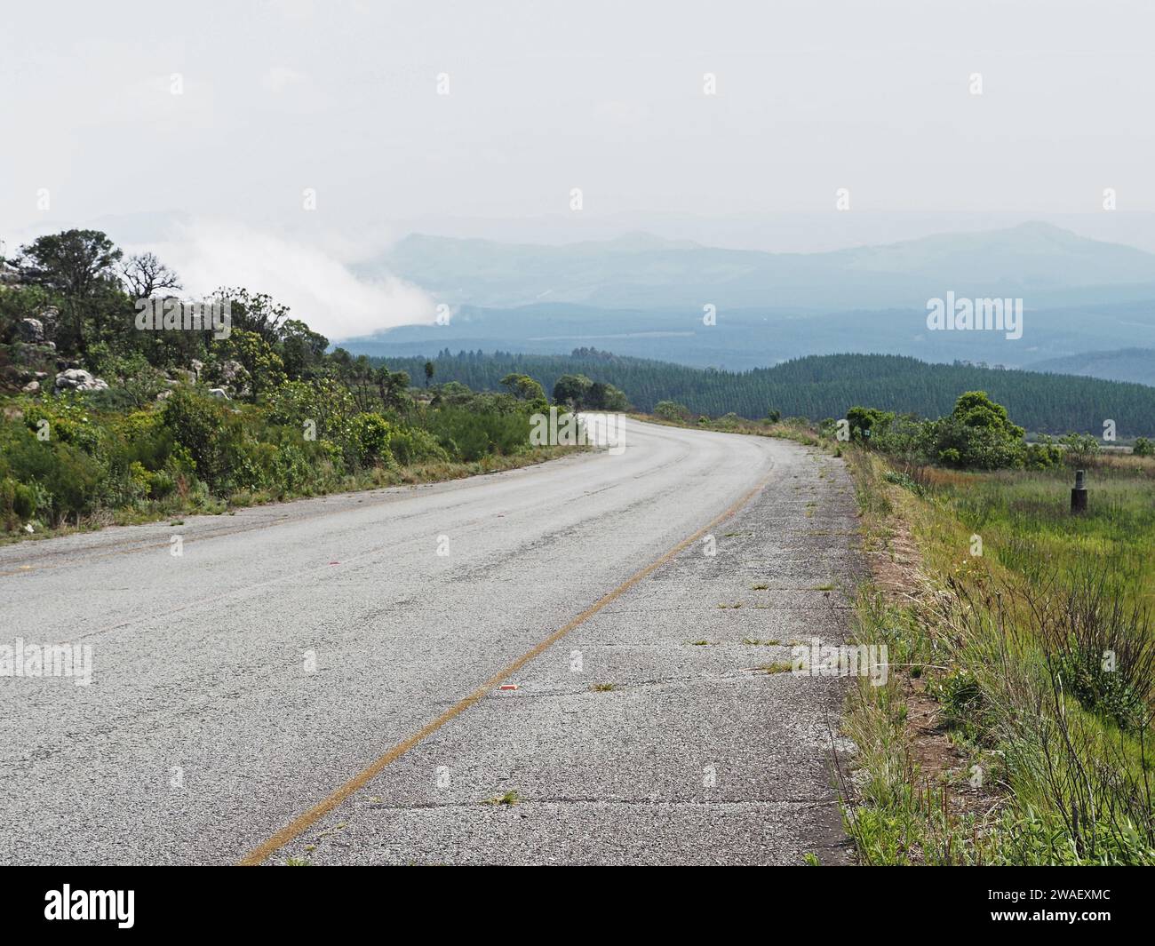 Leere Straße auf der südafrikanischen Panoramastraße in der Nähe des Blyde River Canyon in der Provinz Mpumalanga. Stockfoto