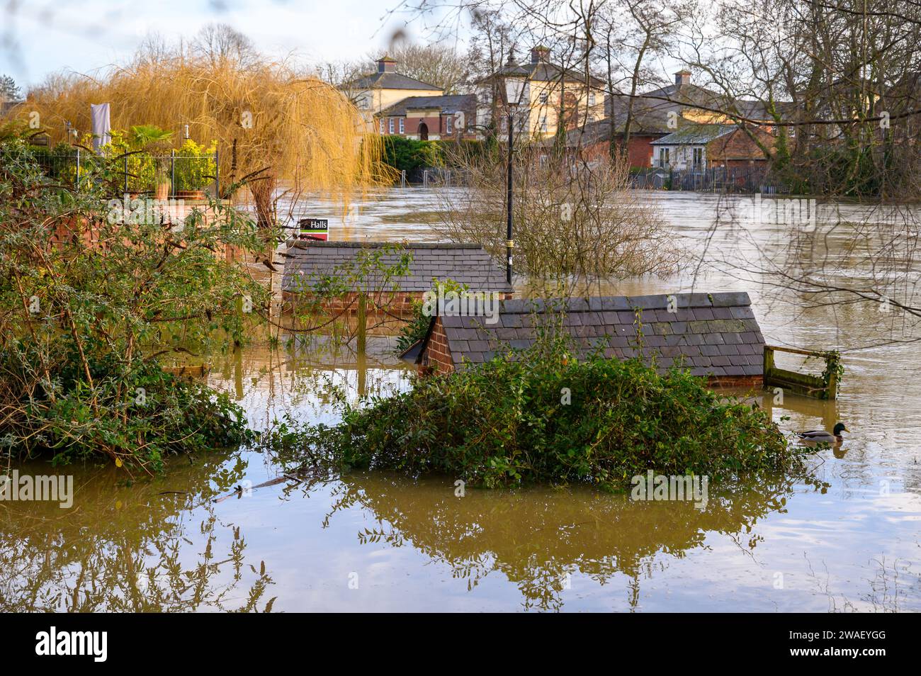 Die Überschwemmungen betrafen Grundstücke und Unternehmen in Shrewsbury, nachdem der Fluss Severn seine Ufer als Folge von starken Regenfällen aufgrund des Sturms Henk platzte. Stockfoto