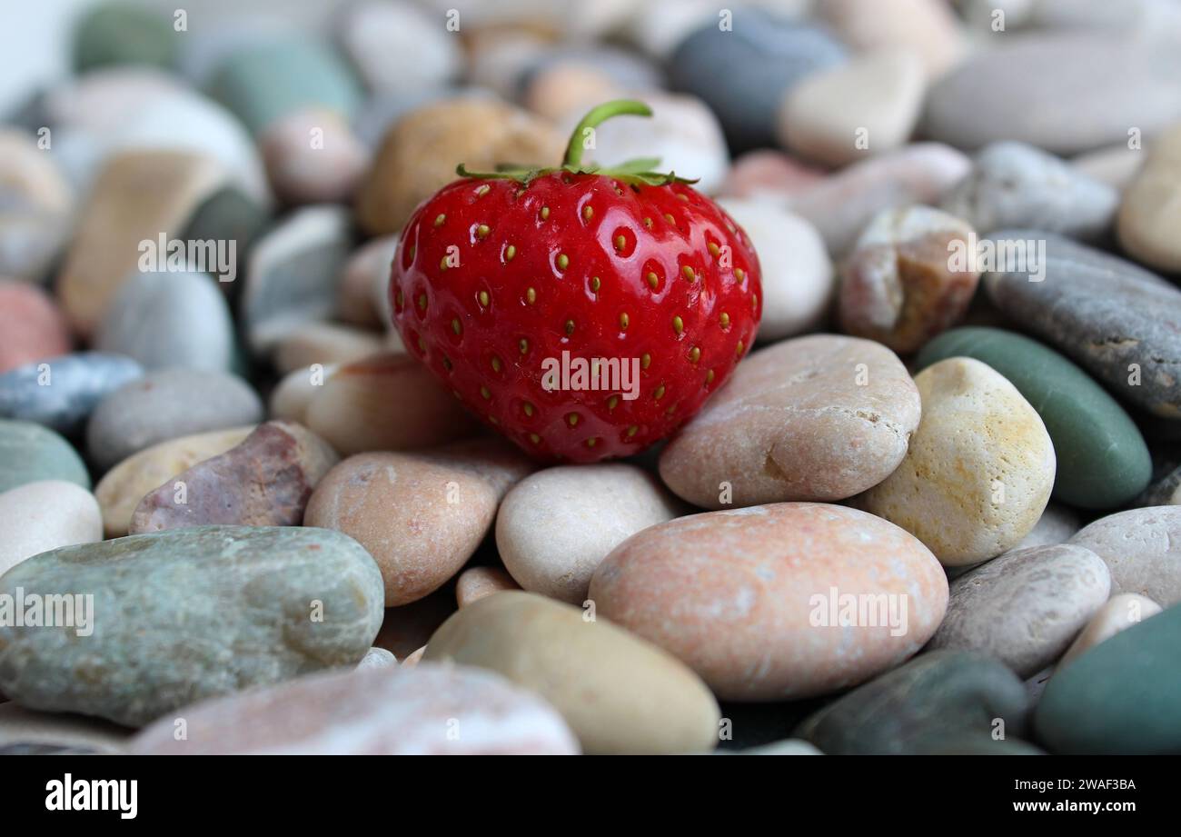 Strukturierte Oberfläche Farbiger Kieselsteine Mit Frischer Erdbeere Auf Dem Foto Stockfoto