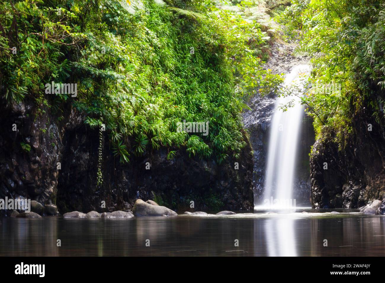 Wainibau Falls, Lavena Coastal Walk, Bouma National Heritage Park, Taveuni, Fidschi Stockfoto