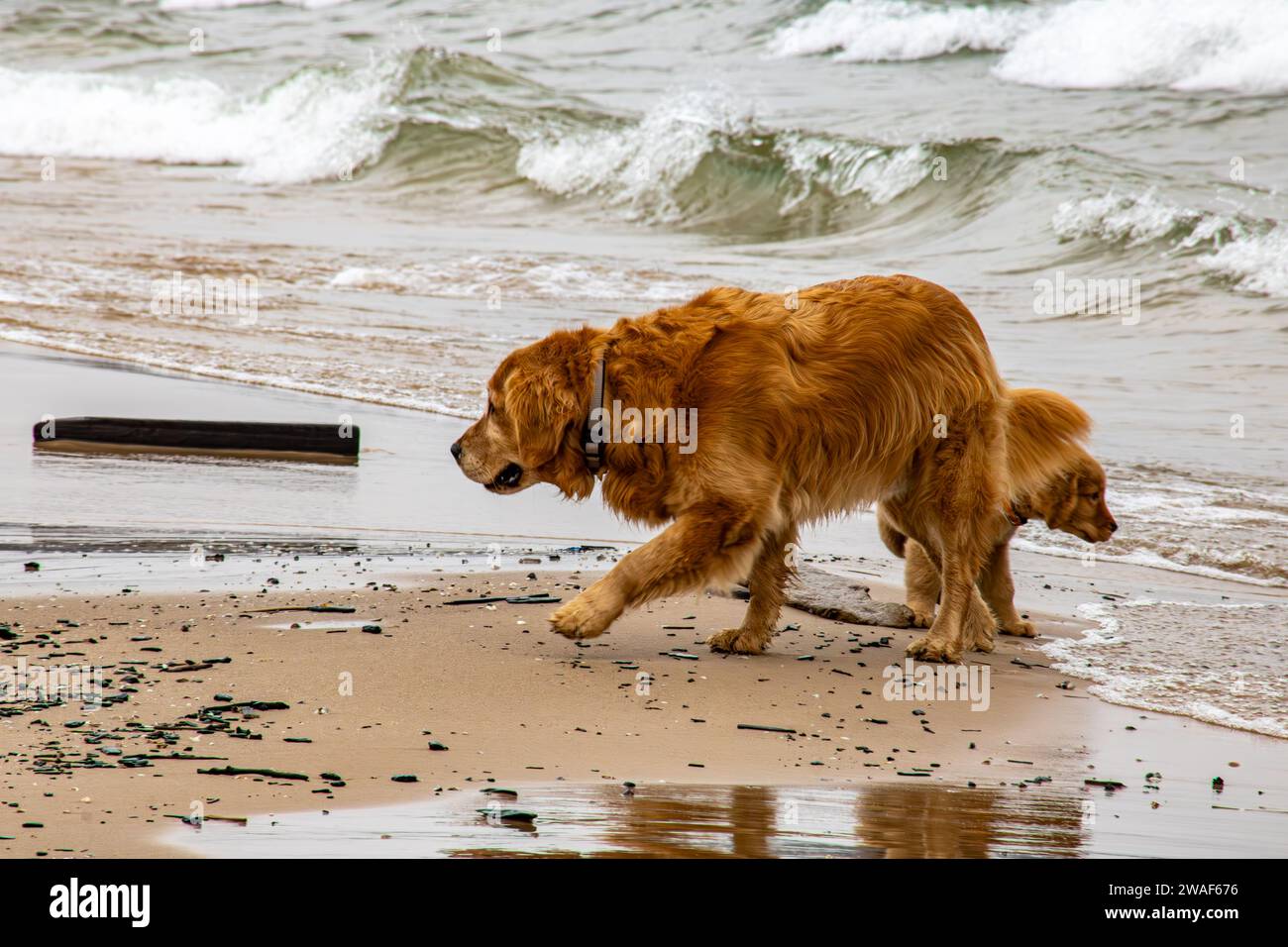 Der Große Bruder Kümmert Sich Im Winter Um Den Kleinen Bruder Am Strand Stockfoto