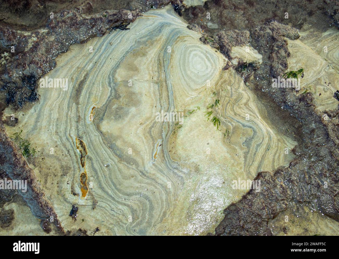 Die sedimentären Gesteinsschichten auf der wellenförmigen Plattform erodieren leicht ungleichmäßig, was zu abstrakten Mustern führt, die die feinen Gesteinsschichten zeigen Stockfoto